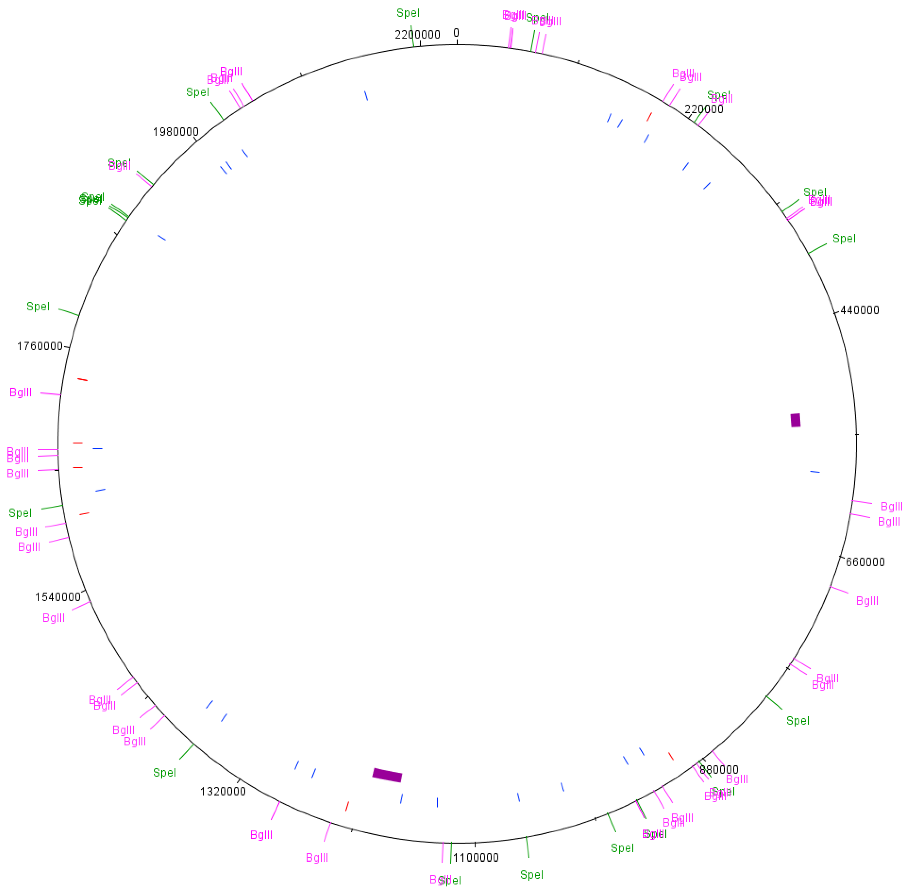 Microorganisms 06 00010 g001