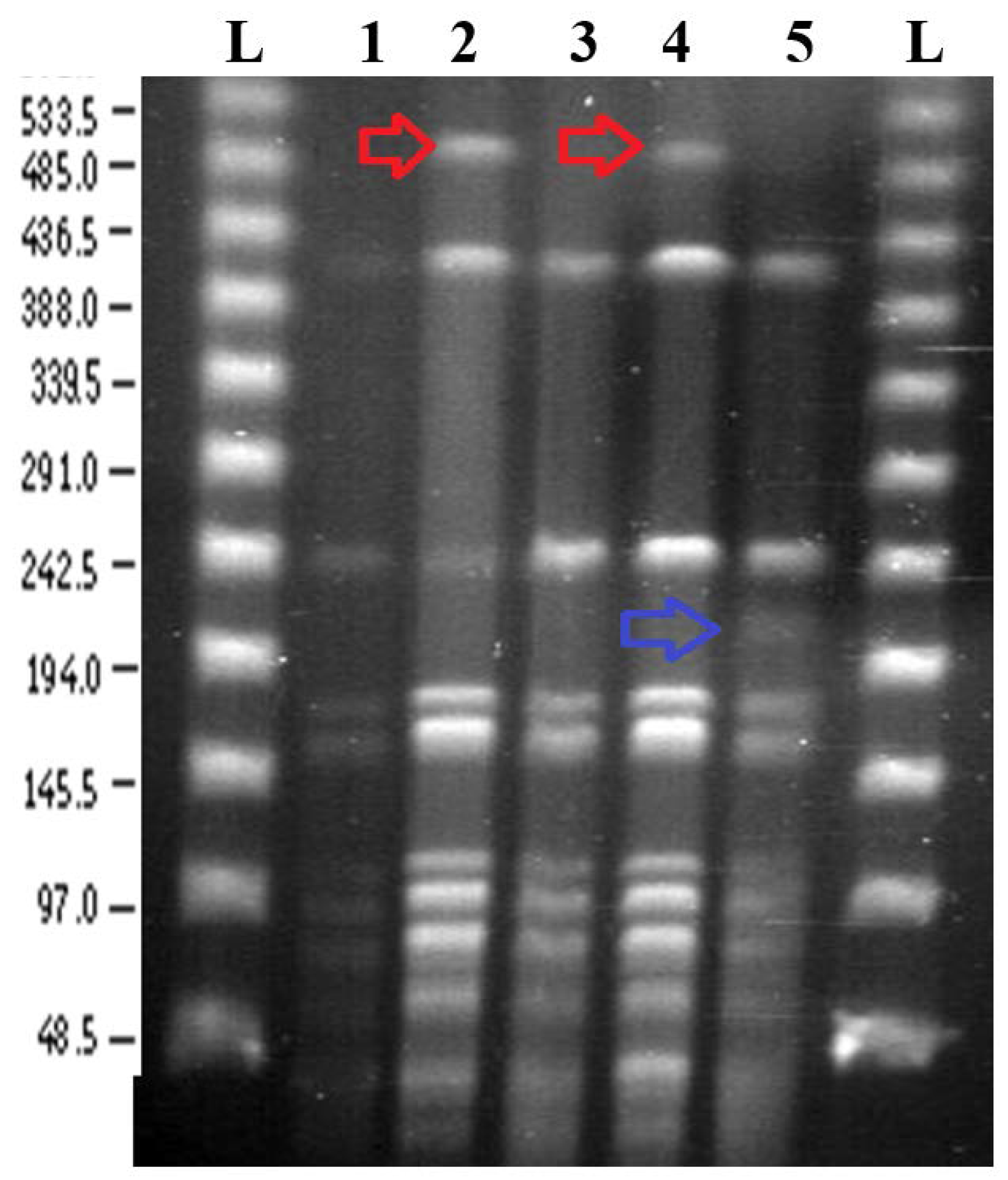 Microorganisms 06 00010 g002