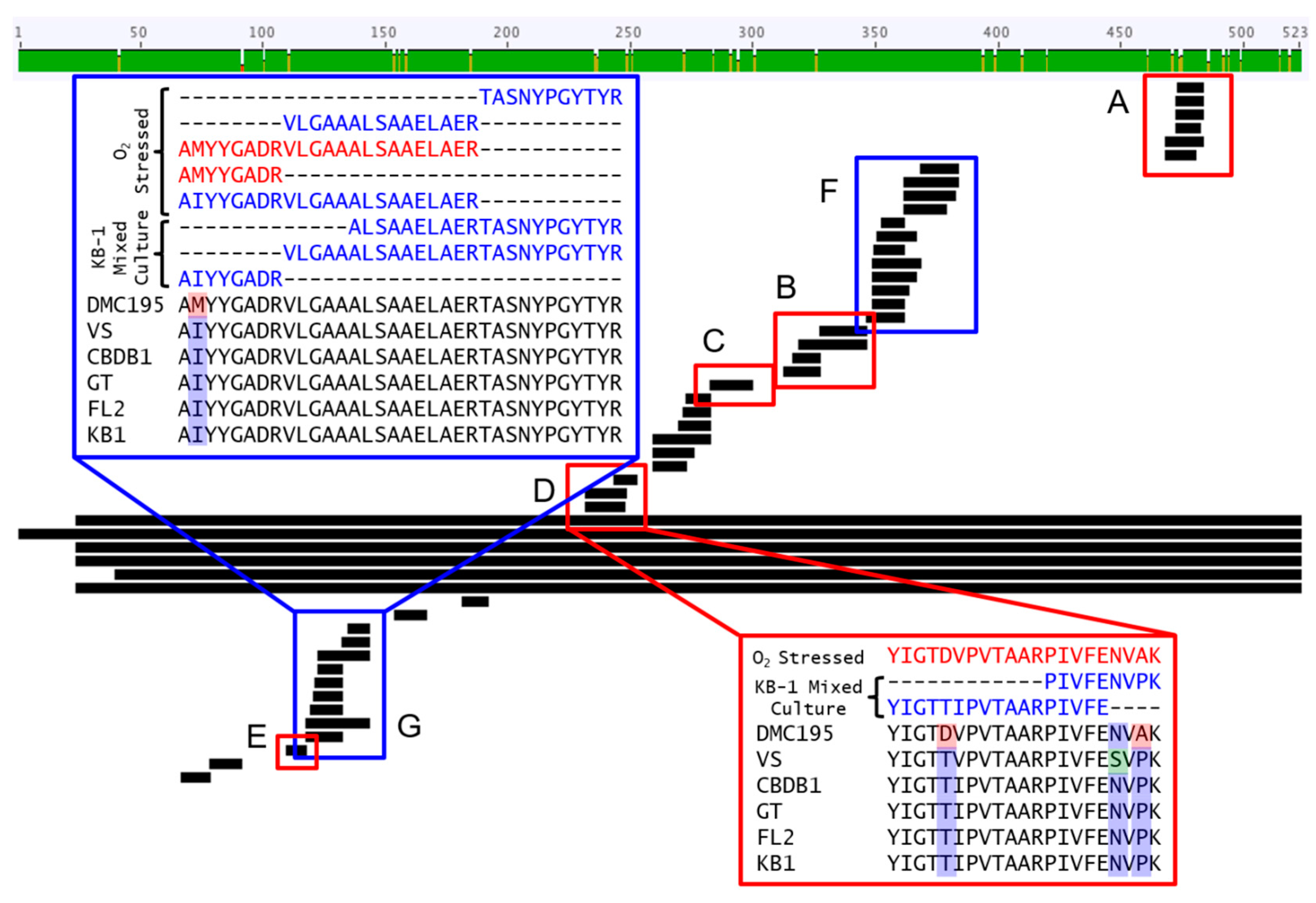 Microorganisms 06 00013 g002