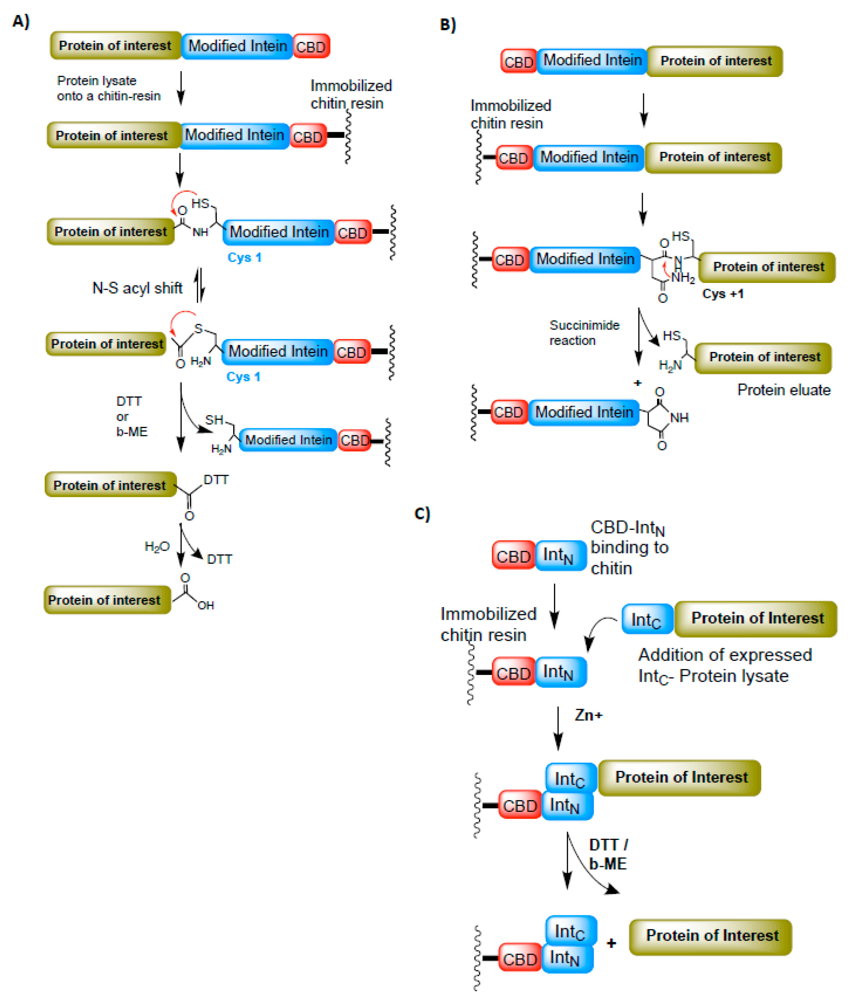 Microorganisms 06 00019 g005