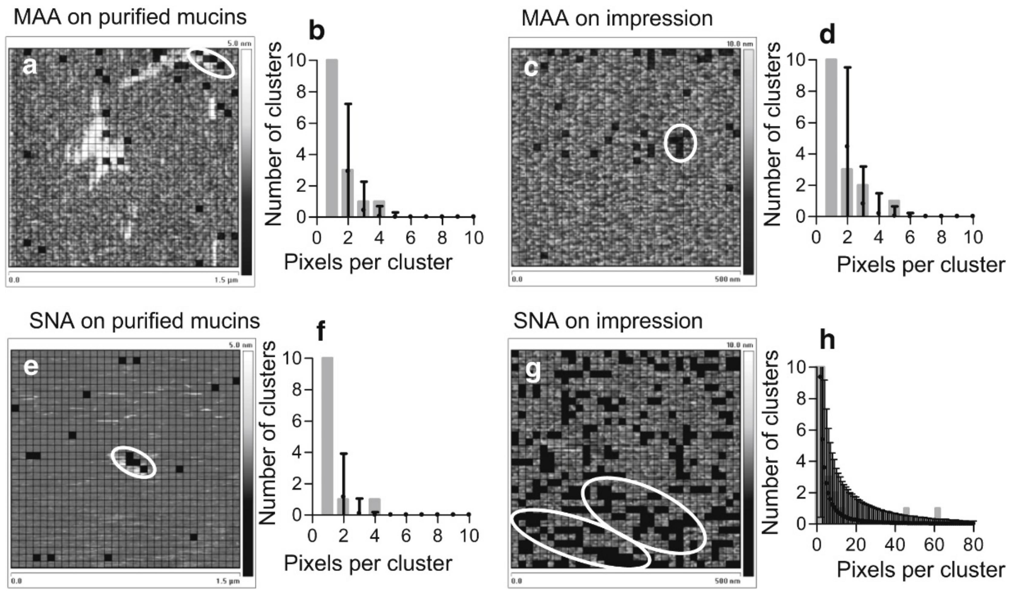 Microorganisms 06 00039 g005 Microorganisms 06 00039 g005