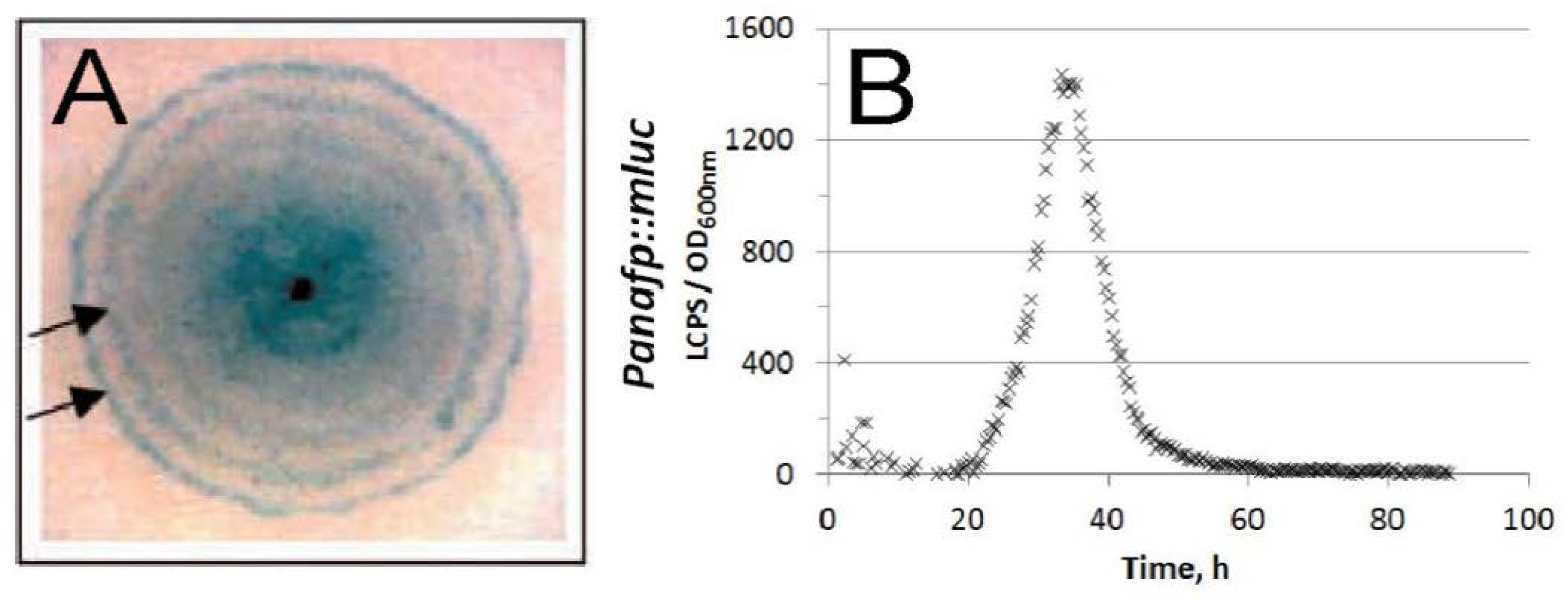 Microorganisms 06 00050 g002
