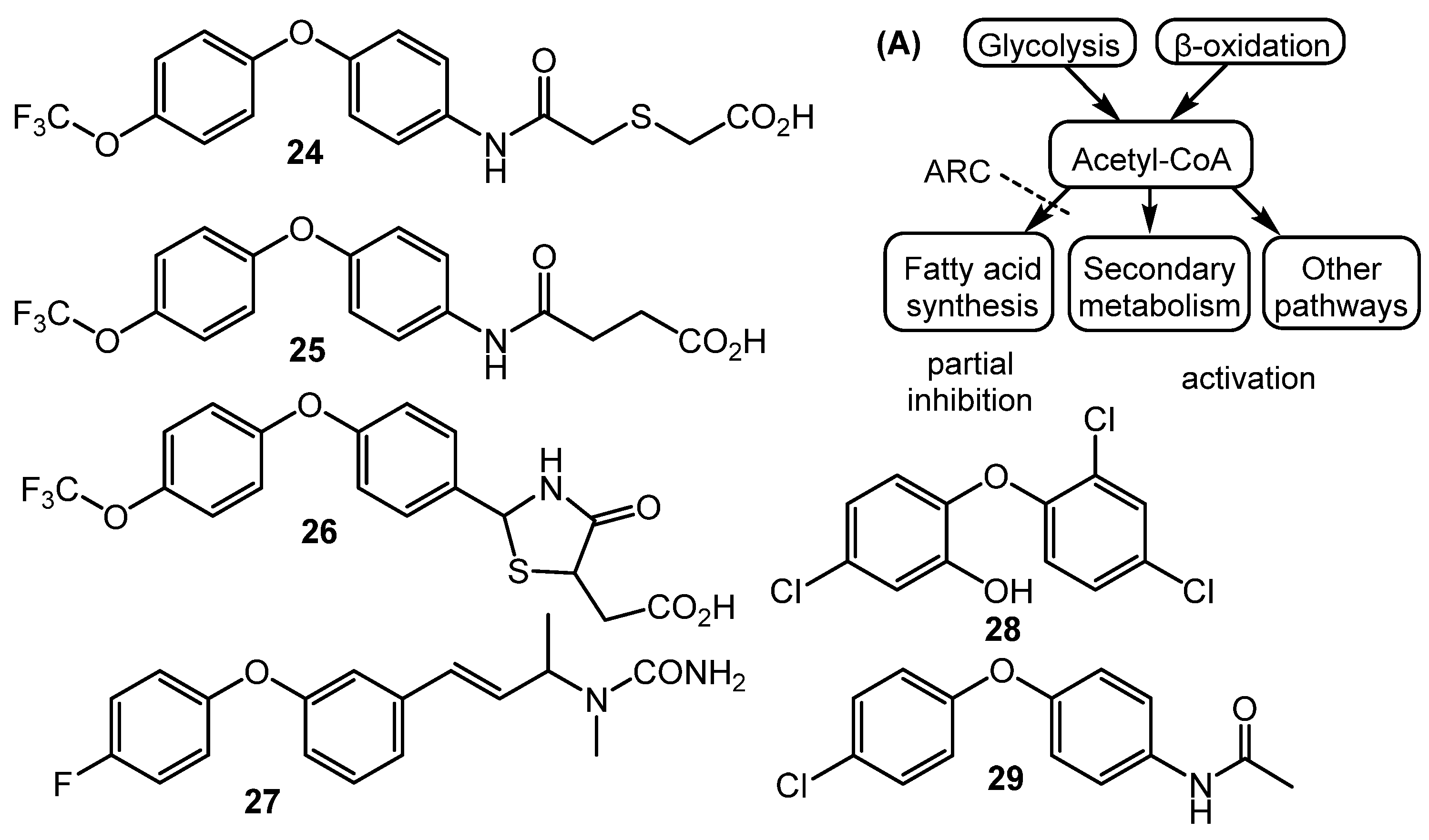 Microorganisms 06 00052 ch005 Microorganisms 06 00052 ch005