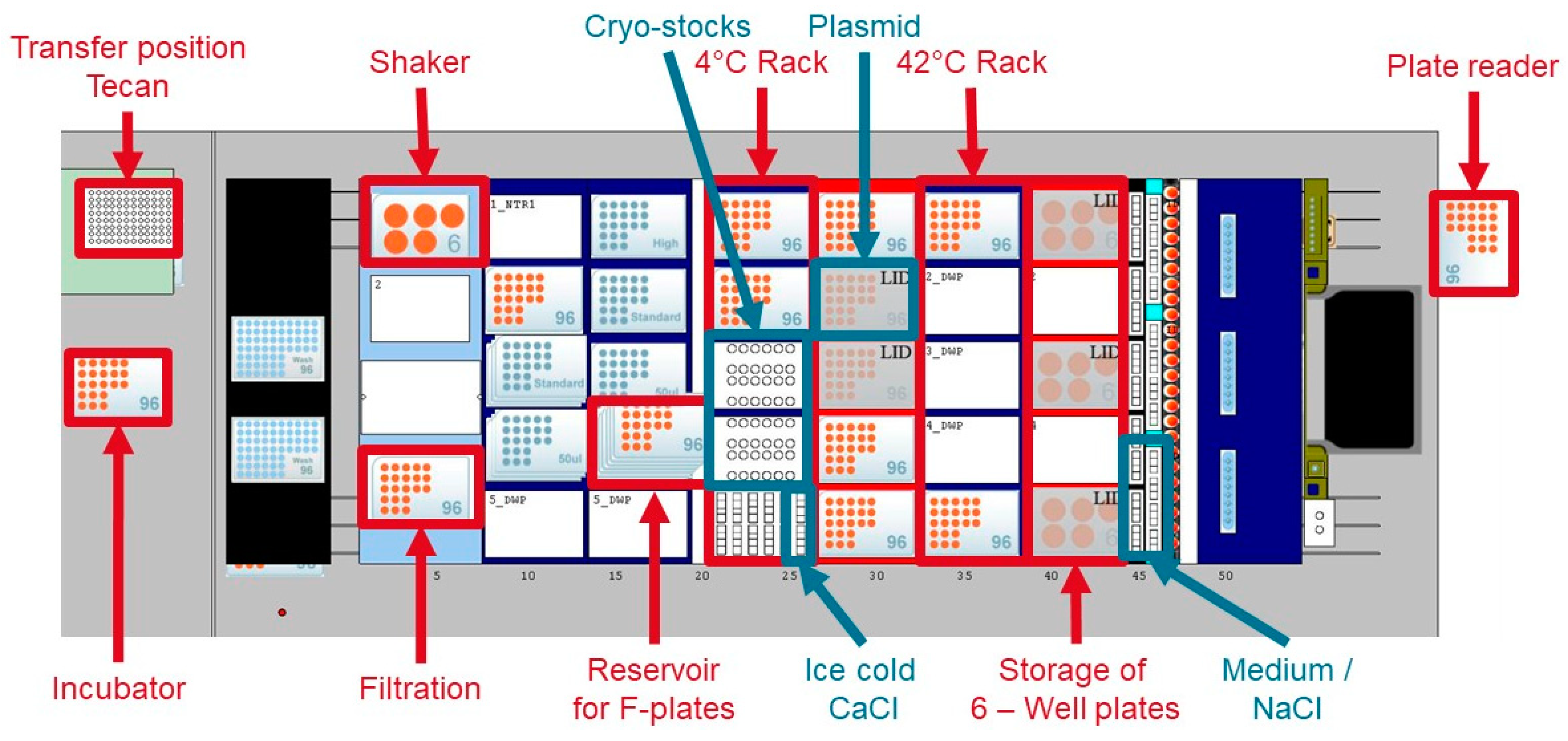 Microorganisms 06 00060 g002