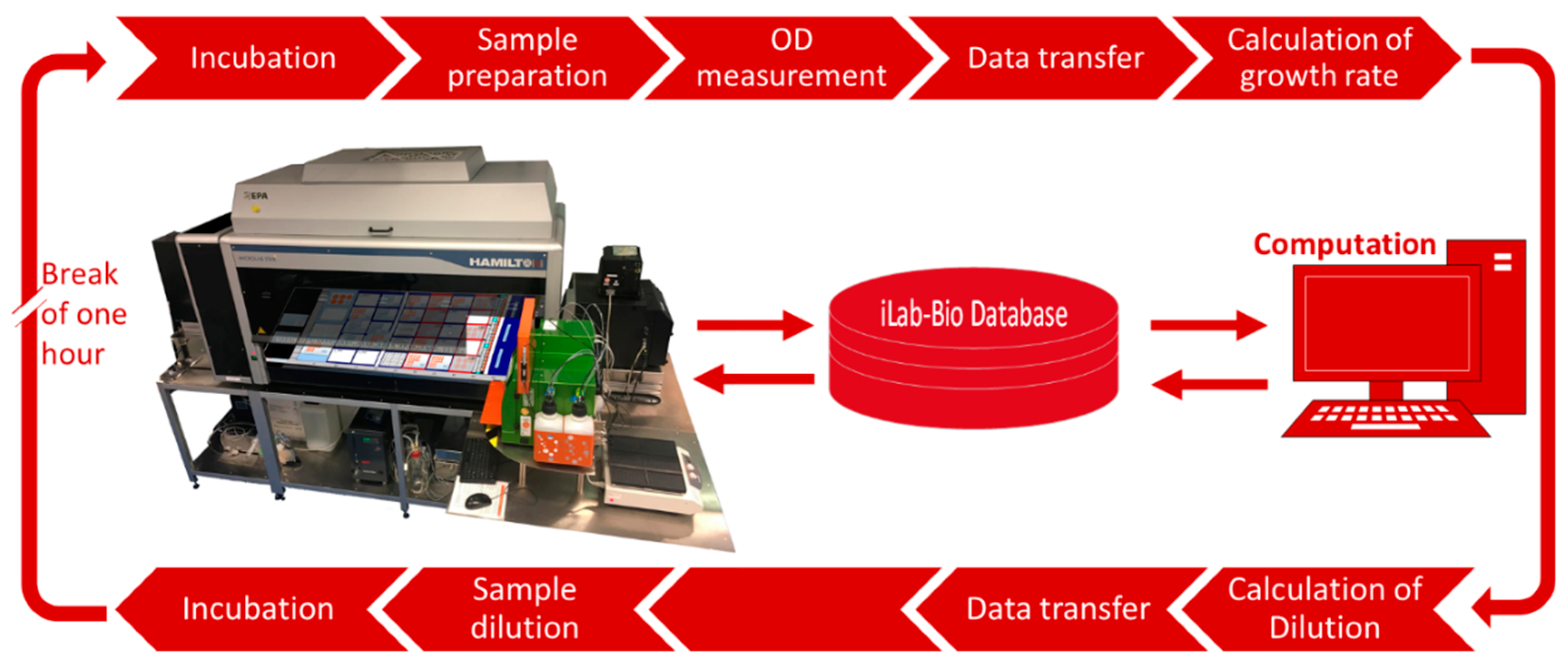 Microorganisms 06 00060 g005