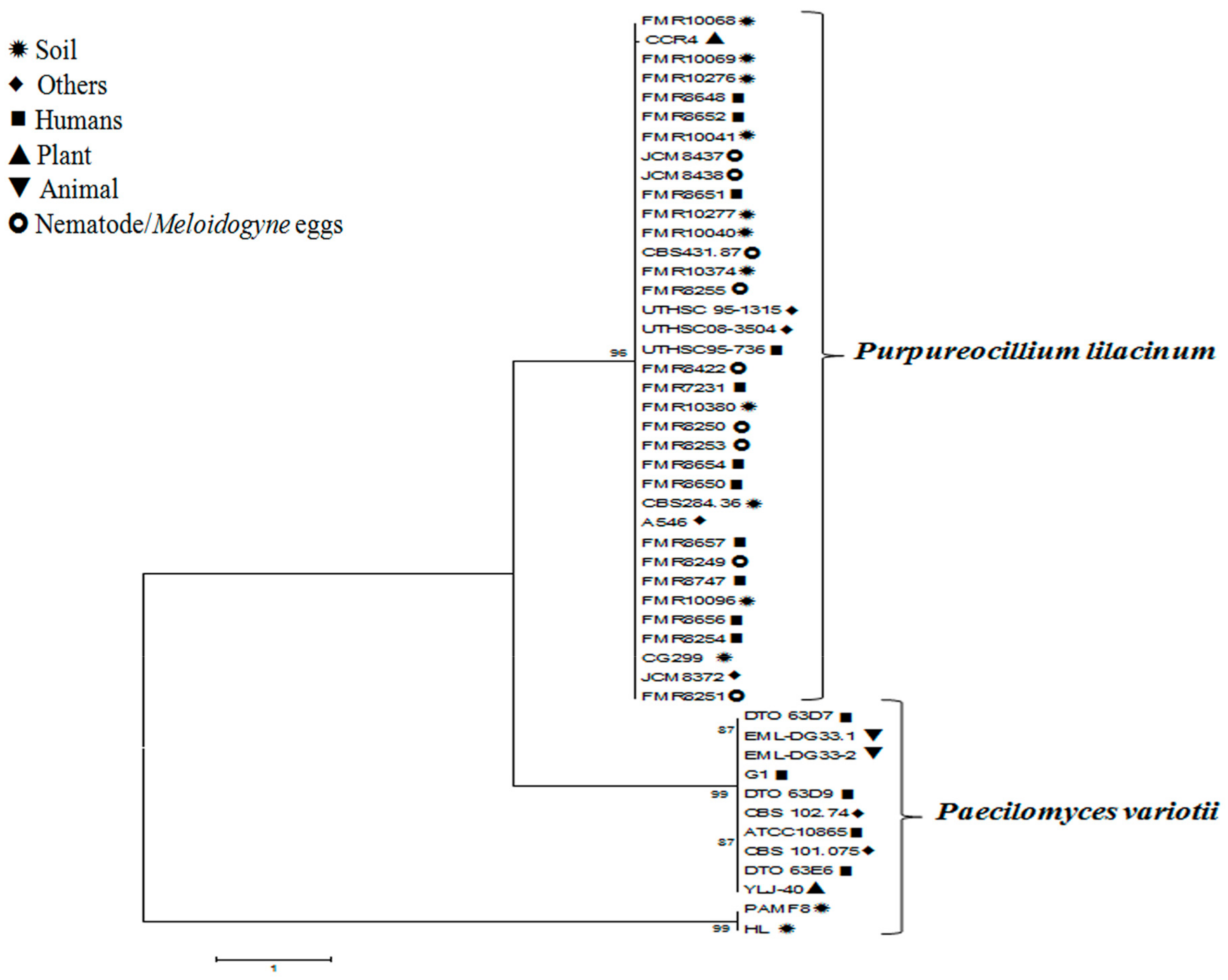 Microorganisms 06 00064 g001 Microorganisms 06 00064 g001