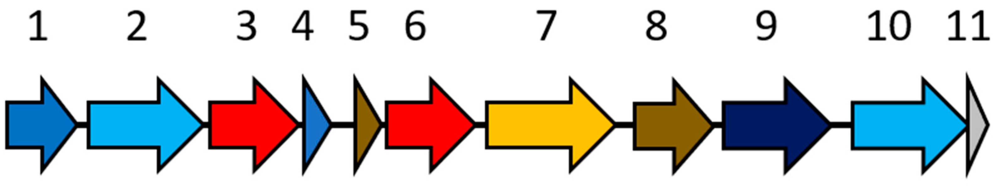 Microorganisms 06 00065 g006 Microorganisms 06 00065 g006