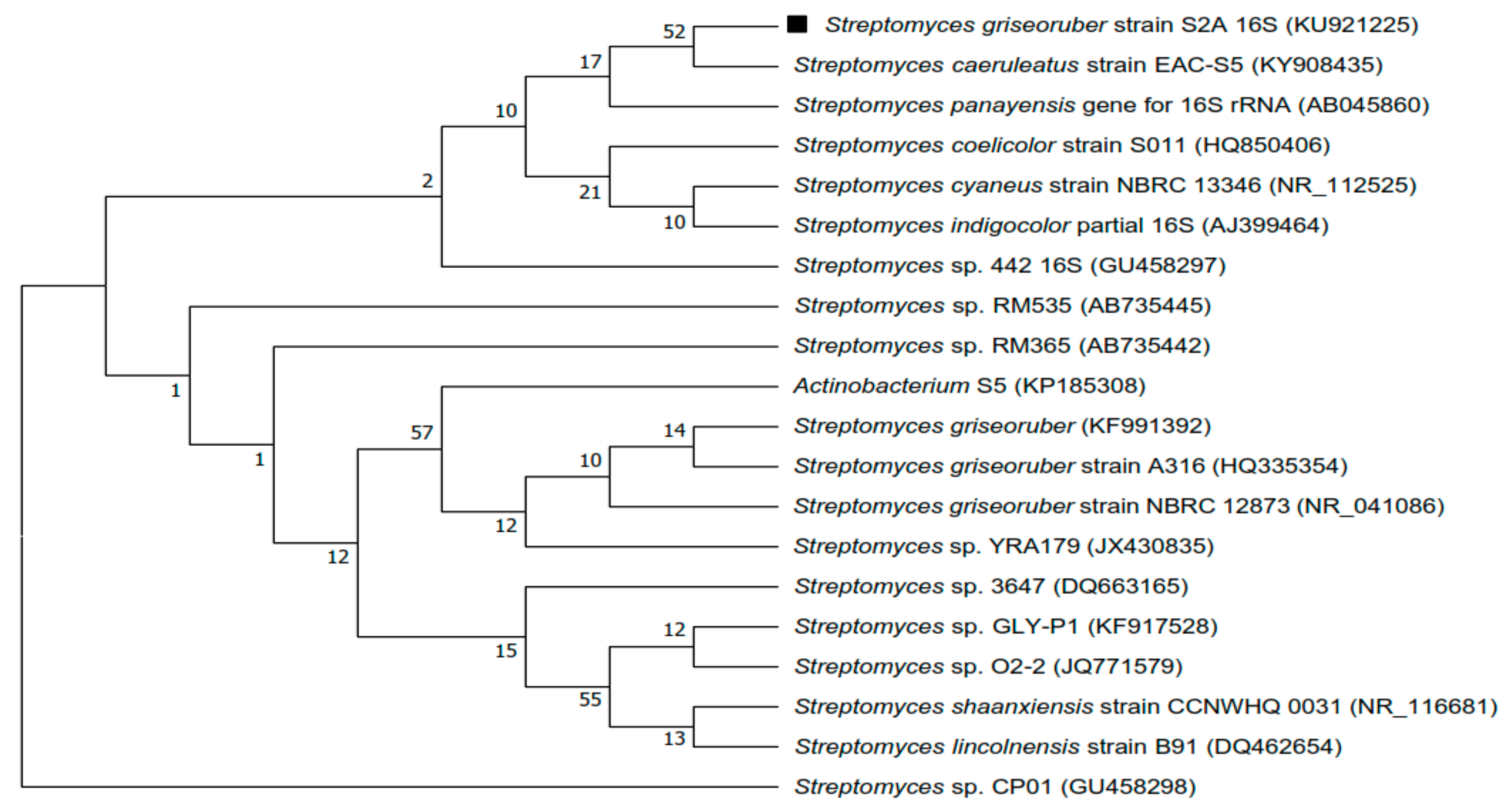 Microorganisms 06 00072 g002