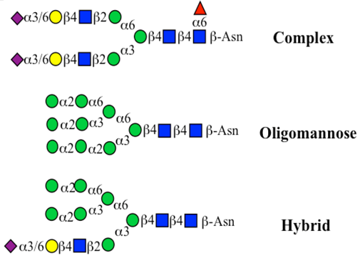 Microorganisms 06 00078 i009 Microorganisms 06 00078 i009