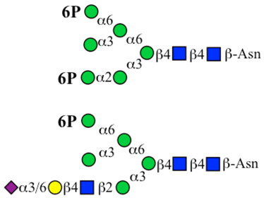 Microorganisms 06 00078 i010 Microorganisms 06 00078 i010