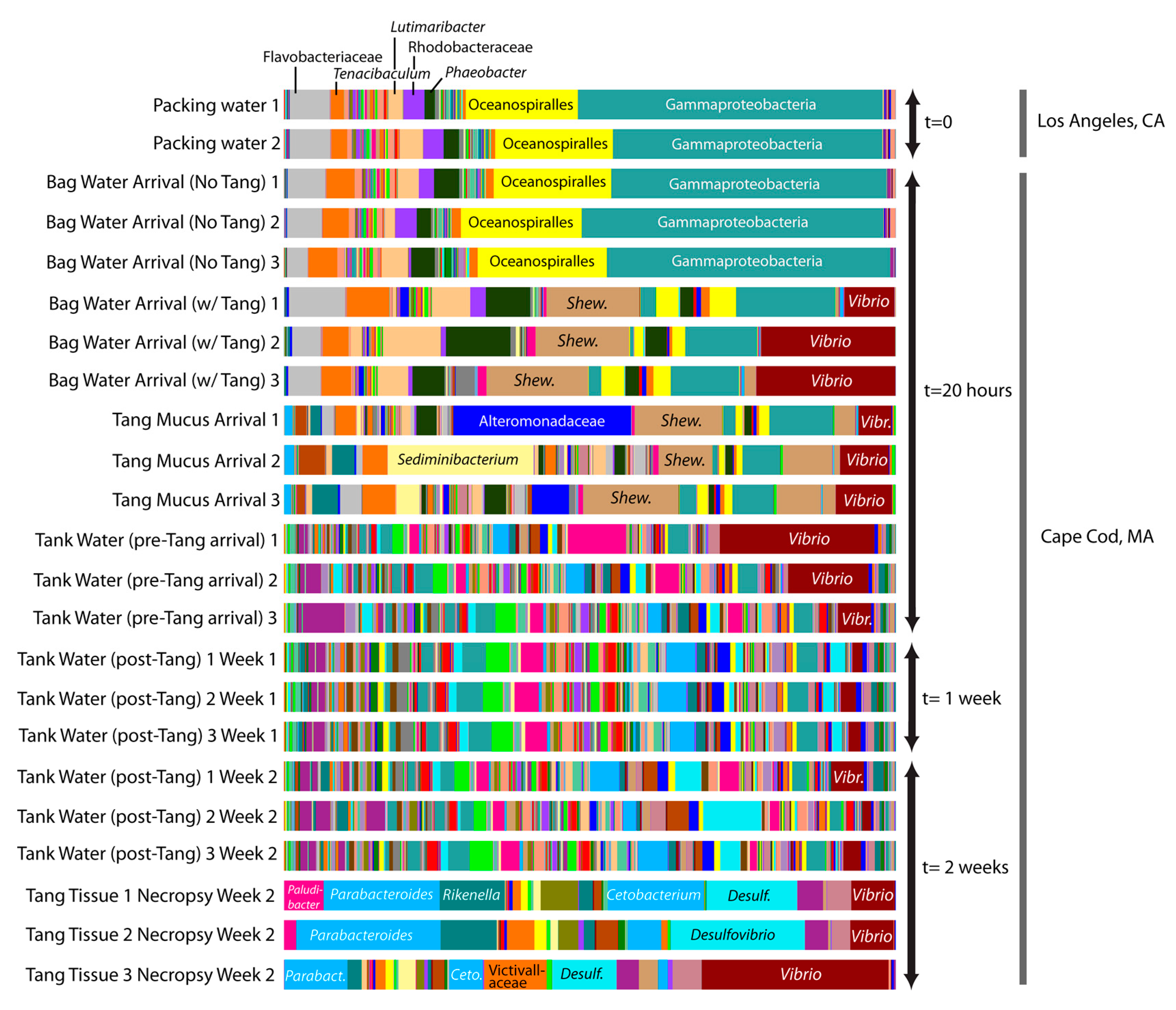 Microorganisms 06 00091 g001