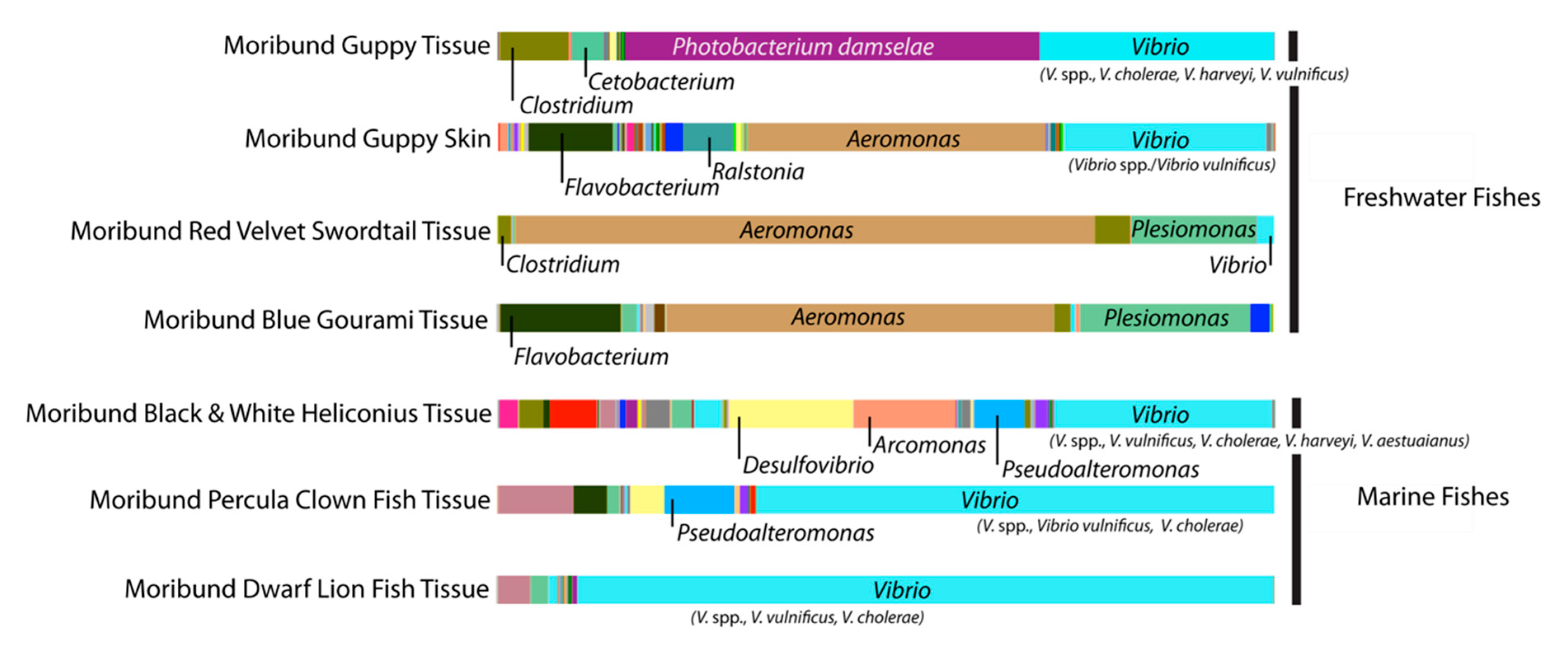 Microorganisms 06 00091 g002