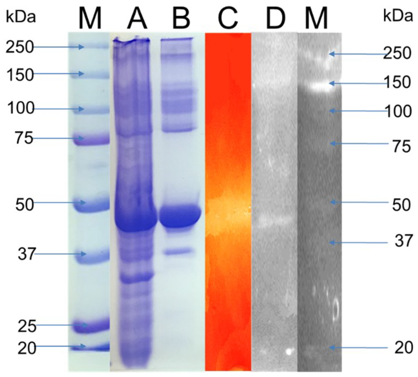 Microorganisms 06 00093 g006 Microorganisms 06 00093 g006