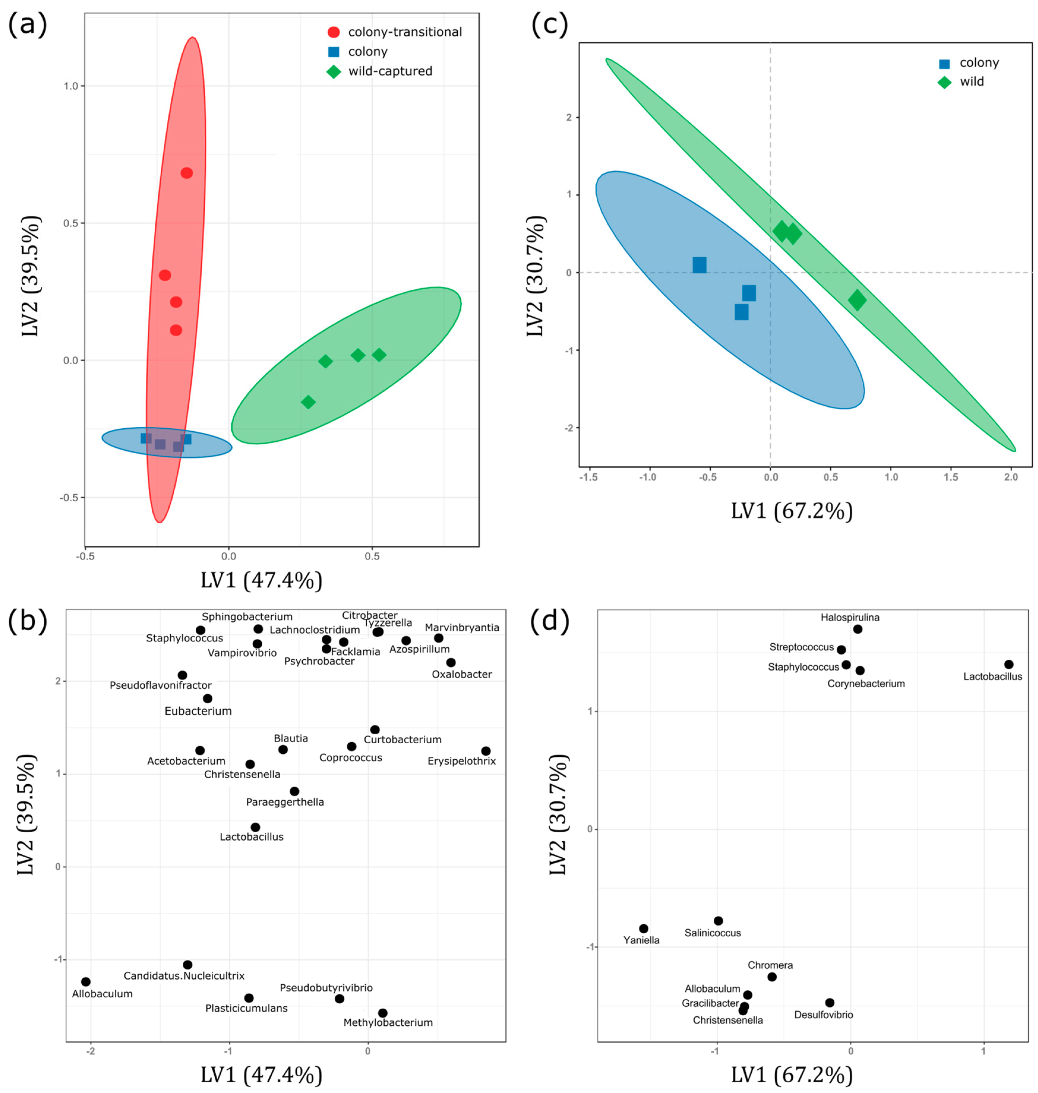 Microorganisms 06 00094 g002