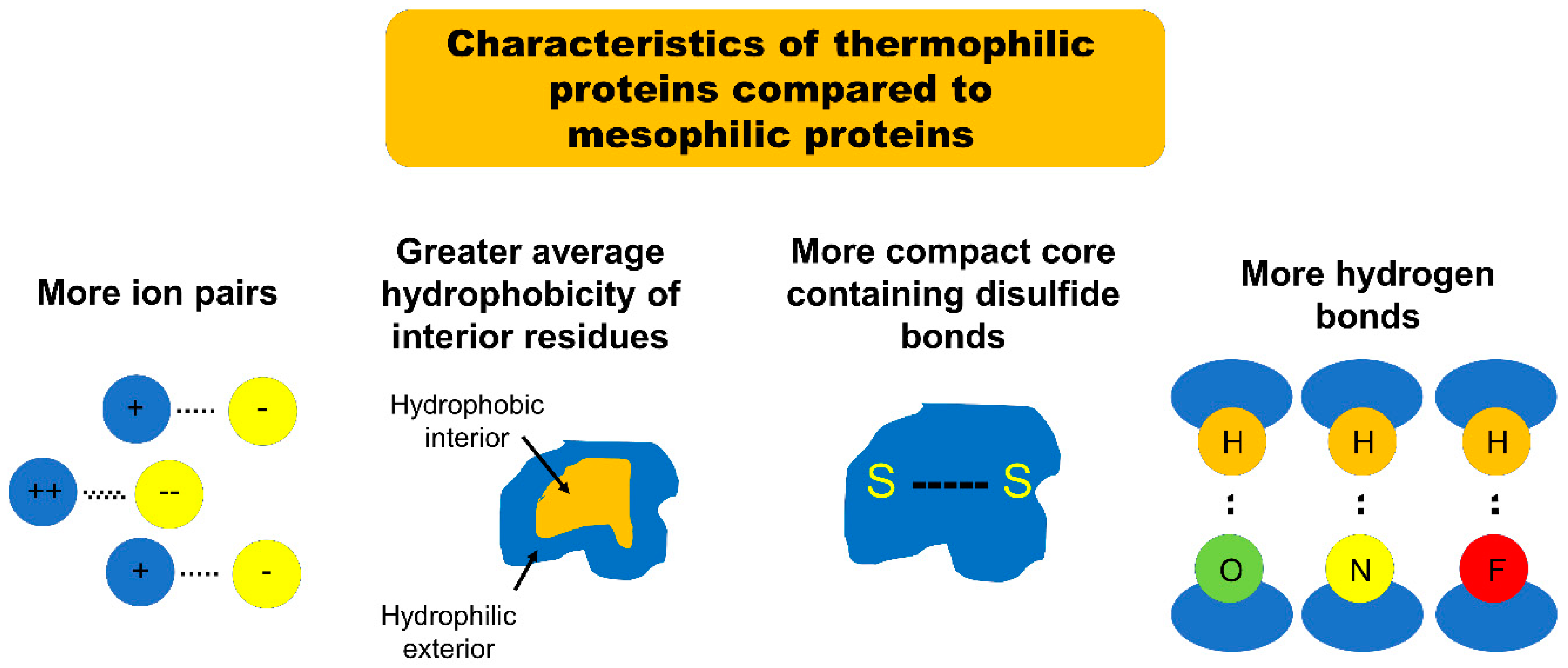 Microorganisms | Free Full-Text | Thermophilic Proteins as Versatile  Scaffolds for Protein Engineering