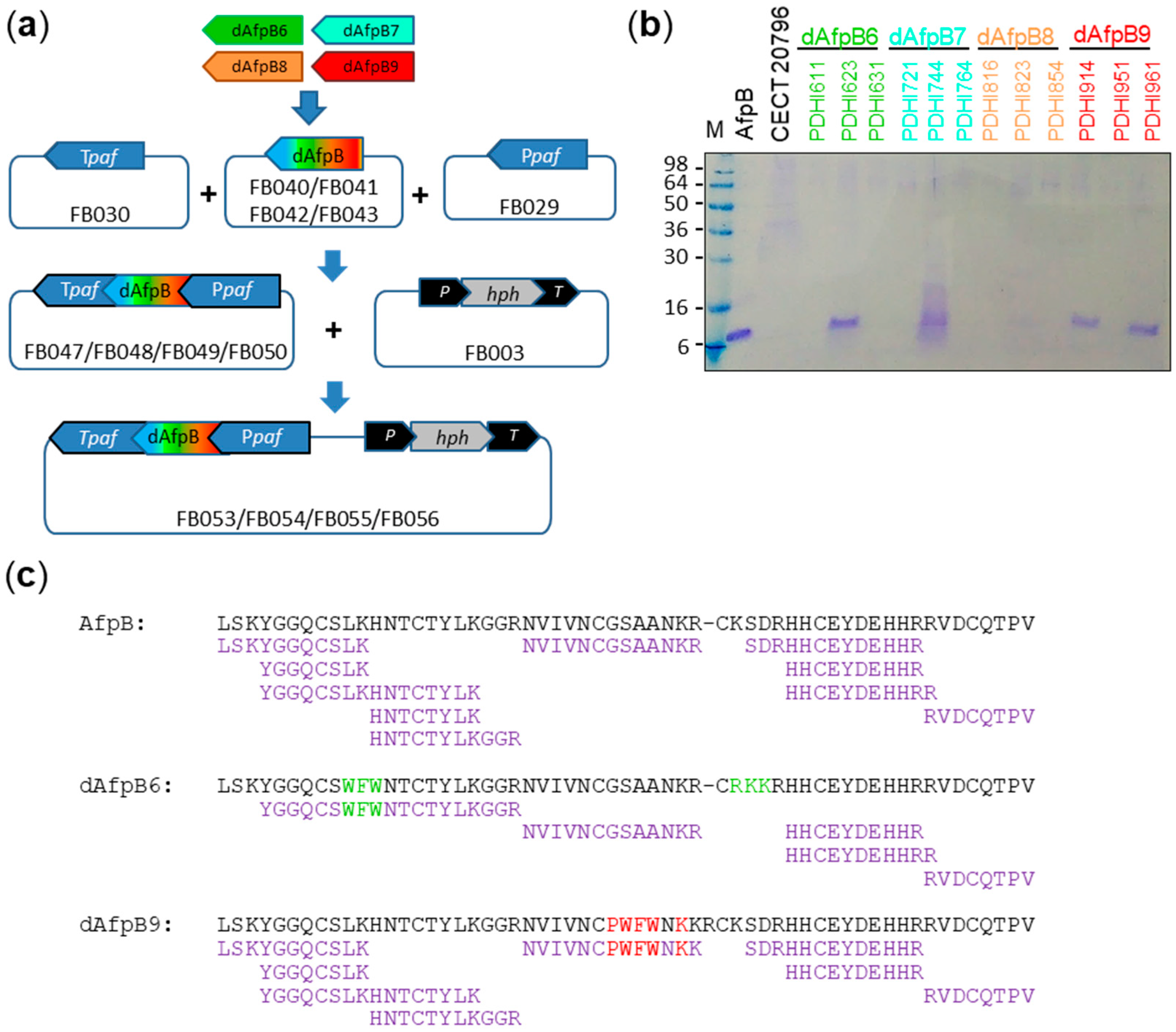 Microorganisms 06 00106 g002 Microorganisms 06 00106 g002