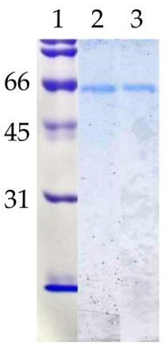 Microorganisms 06 00108 g002