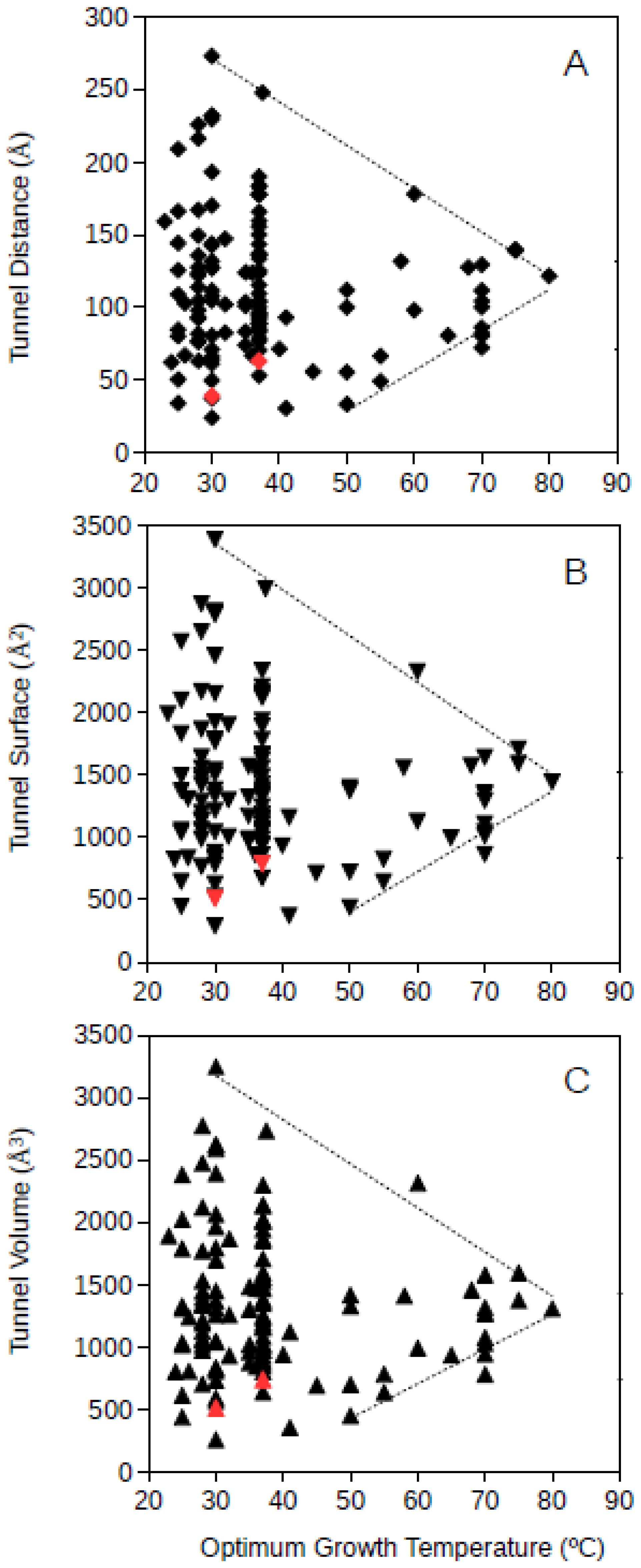 Molecular Tunnels in Enzymes and Thermophily A Case Study on the Biology Diagrams