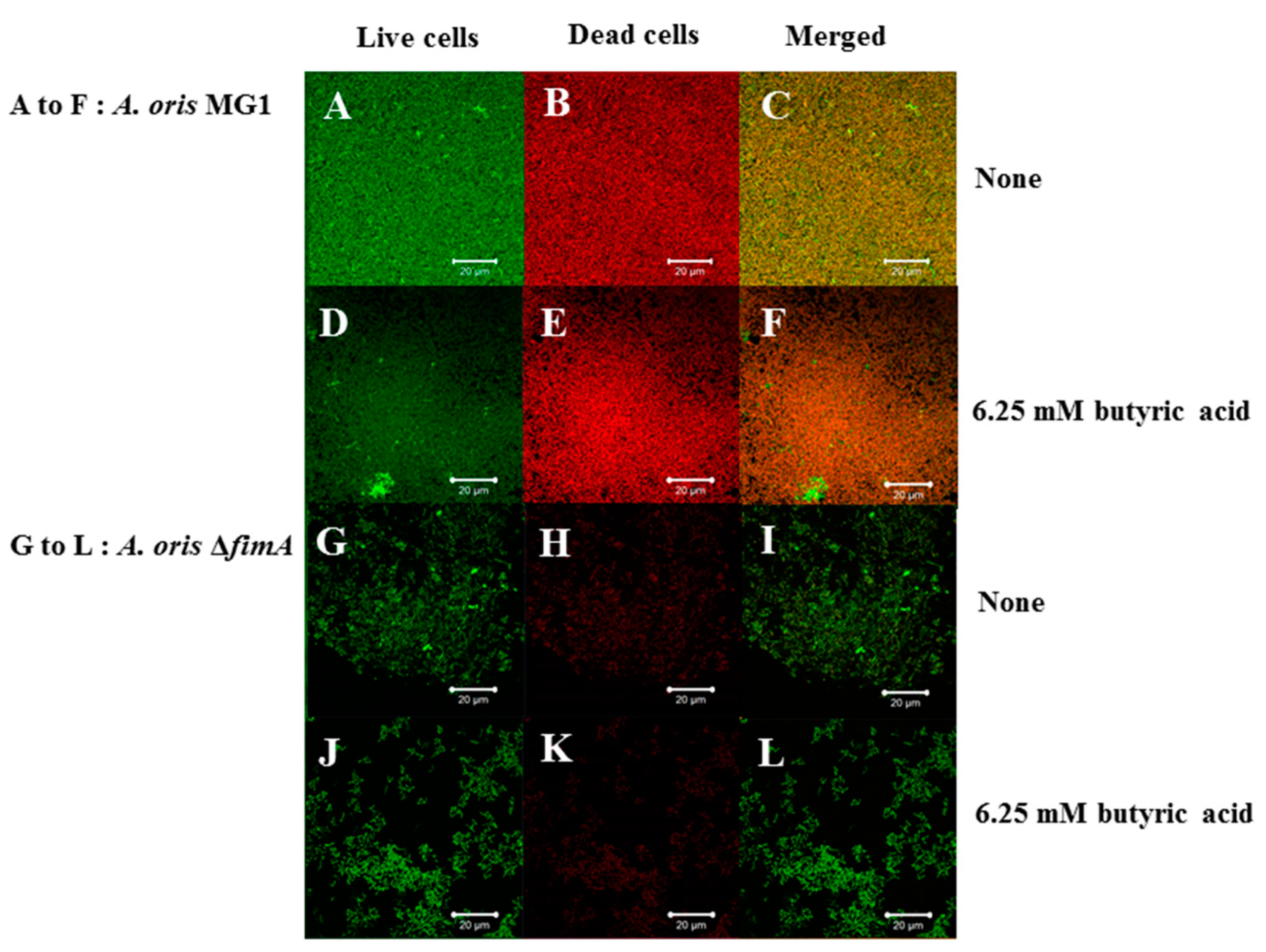 Microorganisms 06 00114 g004 Microorganisms 06 00114 g004