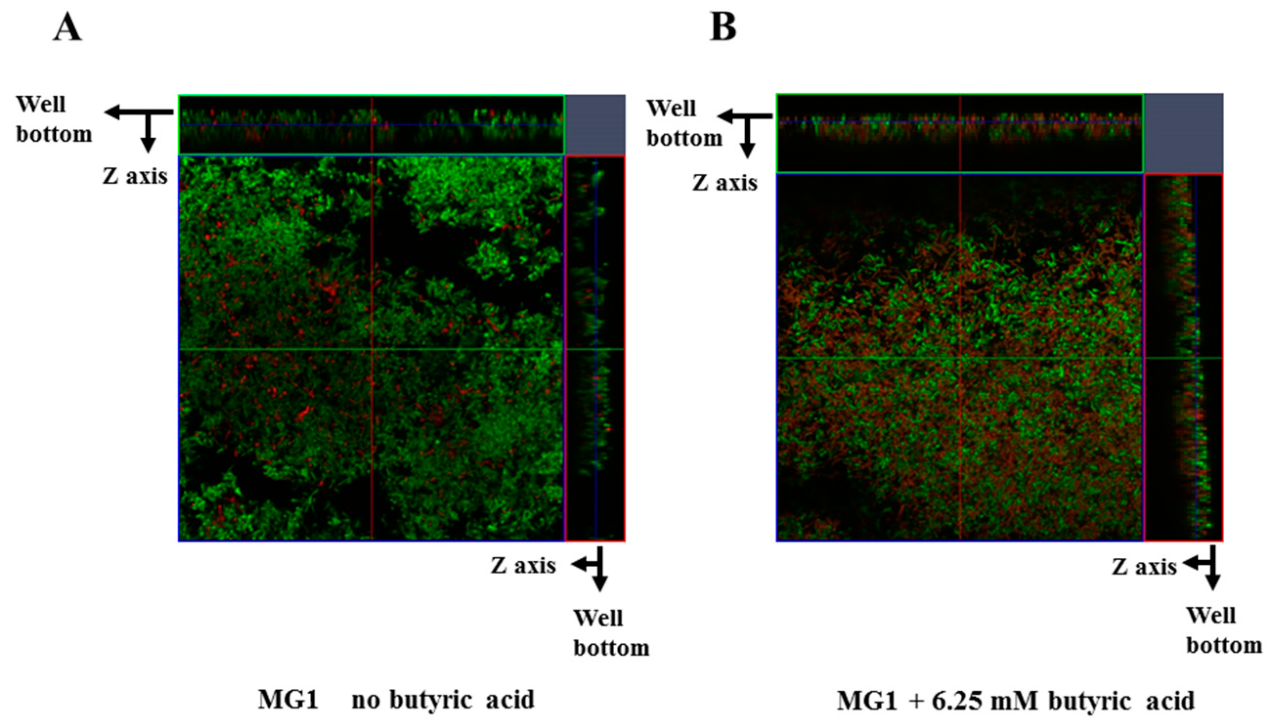 Microorganisms 06 00114 g006 Microorganisms 06 00114 g006