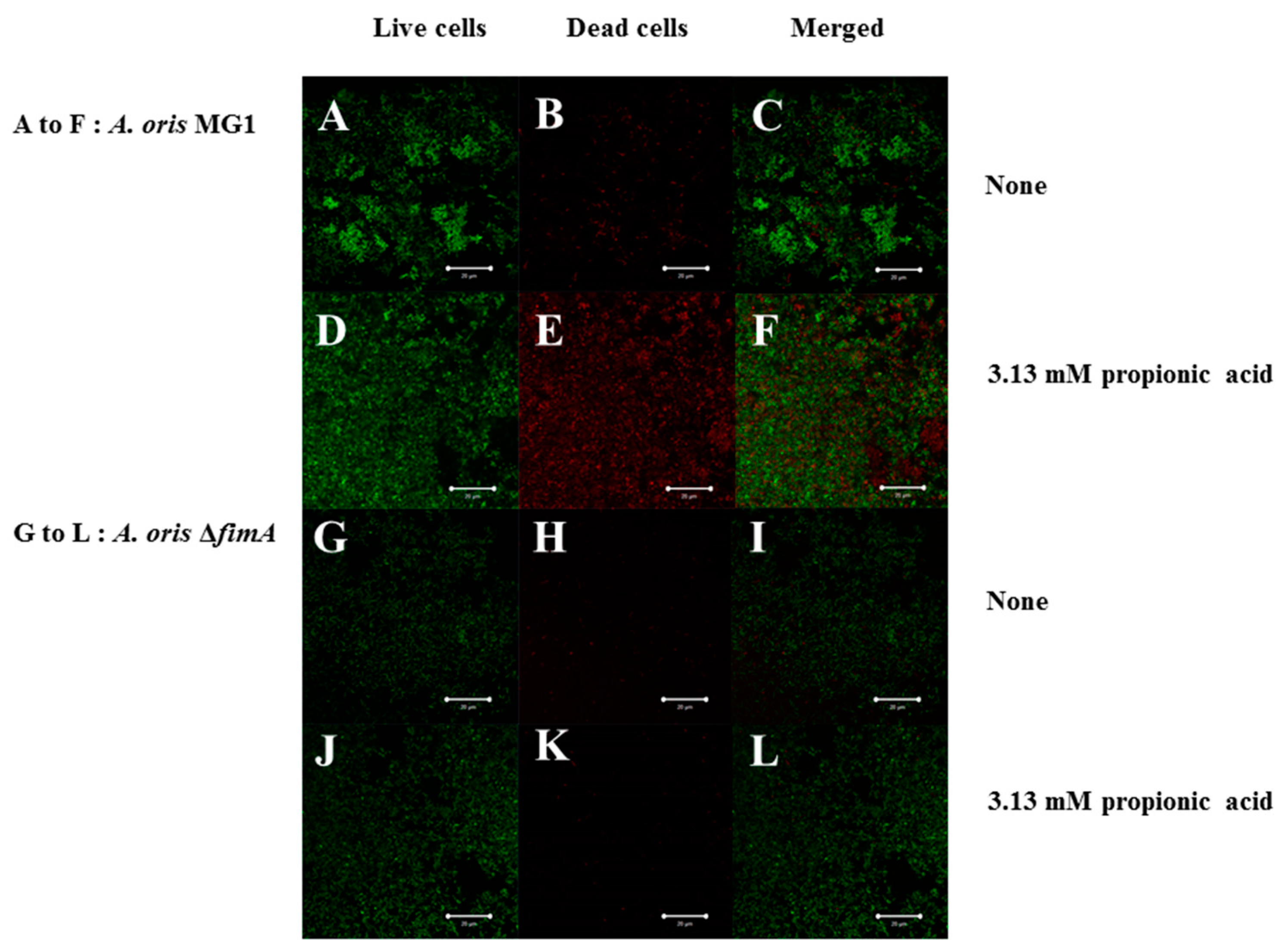 Microorganisms 06 00114 g007 Microorganisms 06 00114 g007