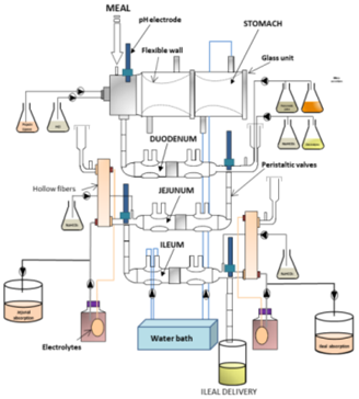 Microorganisms 06 00115 i001 Microorganisms 06 00115 i001