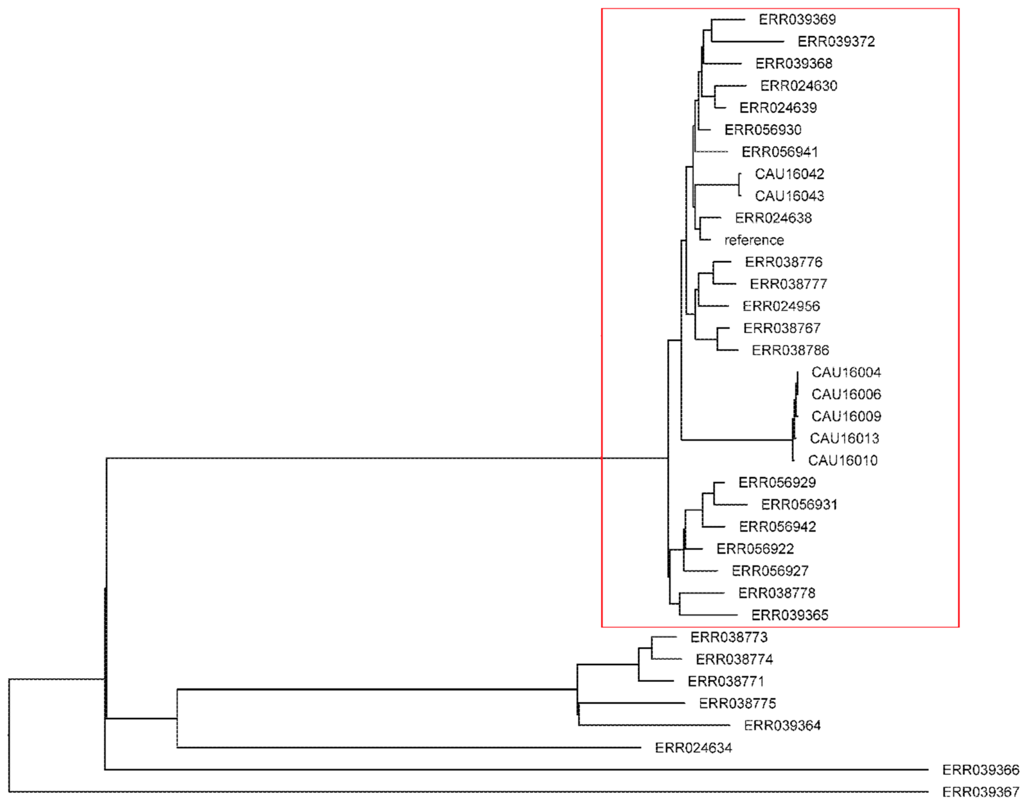 Microorganisms 06 00117 g005