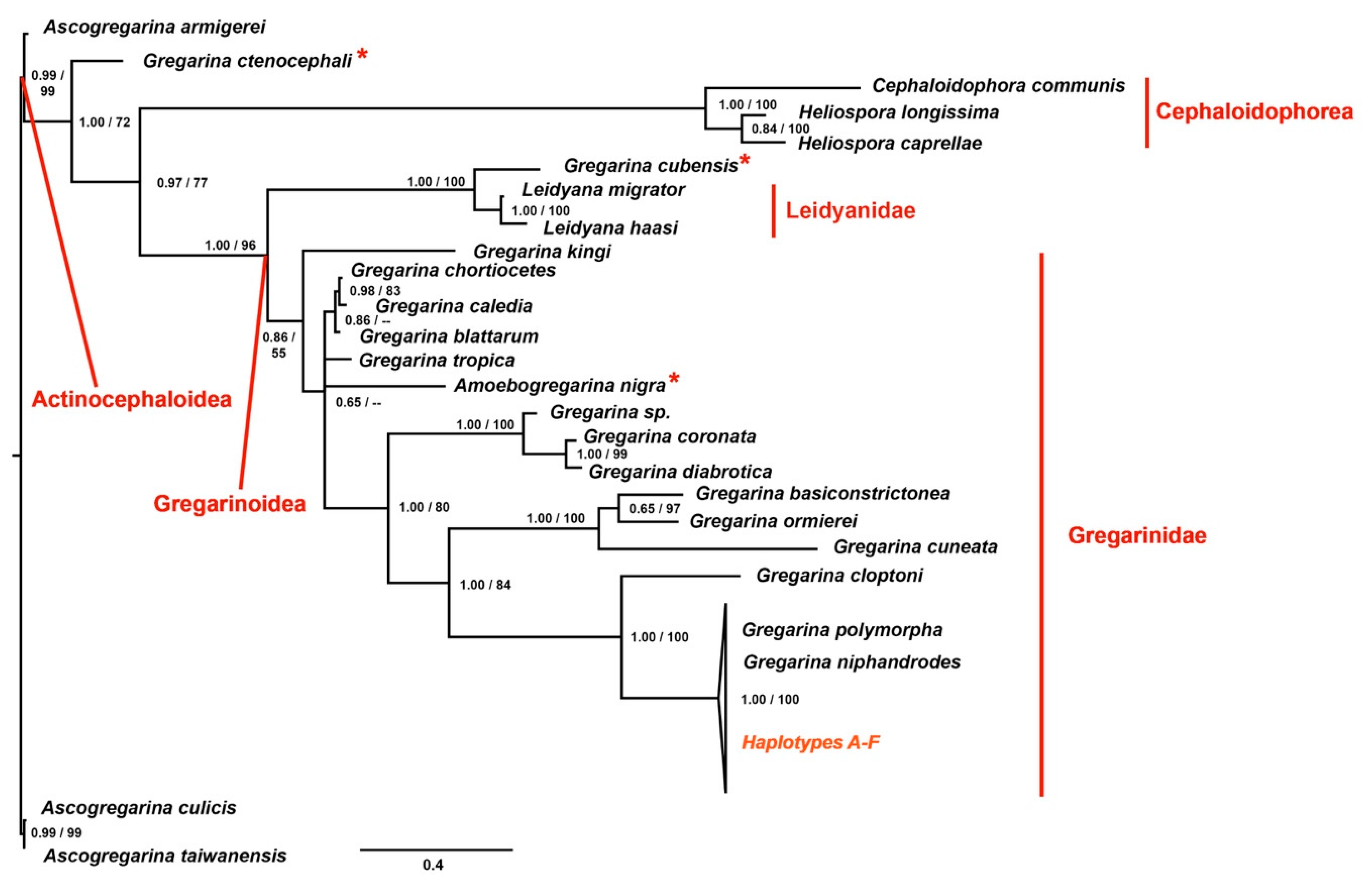 Microorganisms 06 00119 g003 Microorganisms 06 00119 g003