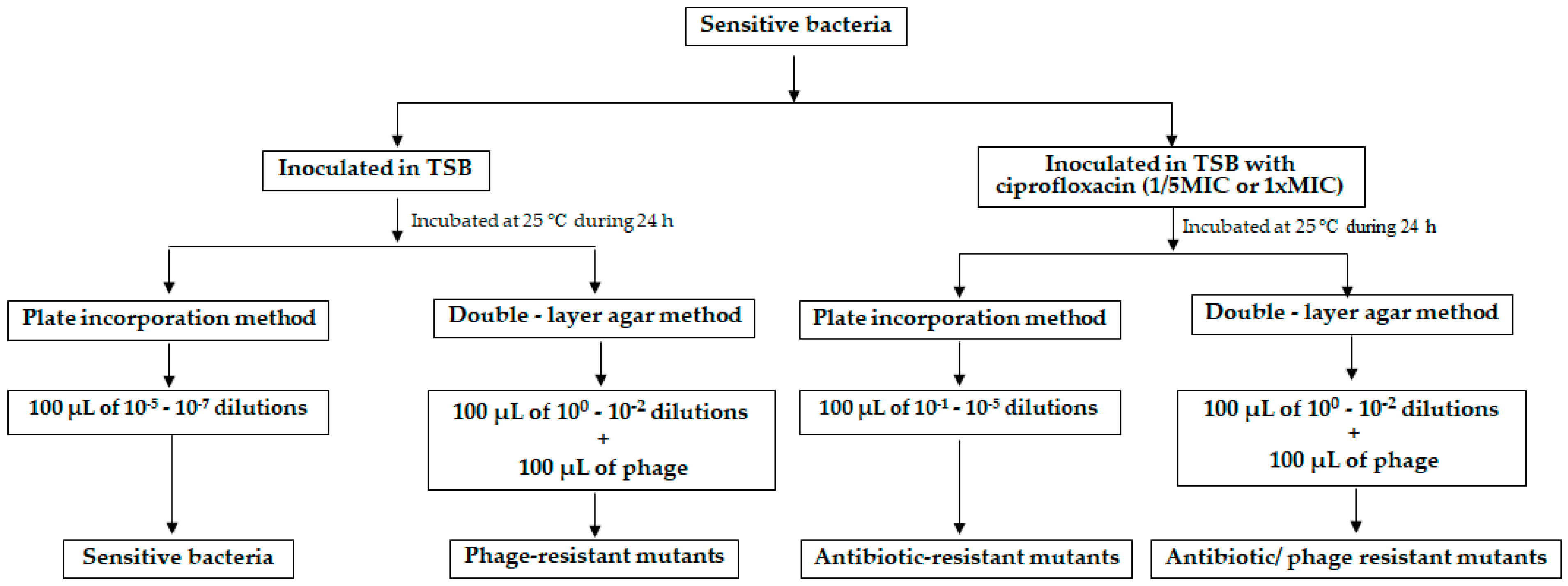 Microorganisms 06 00125 g001 Microorganisms 06 00125 g001