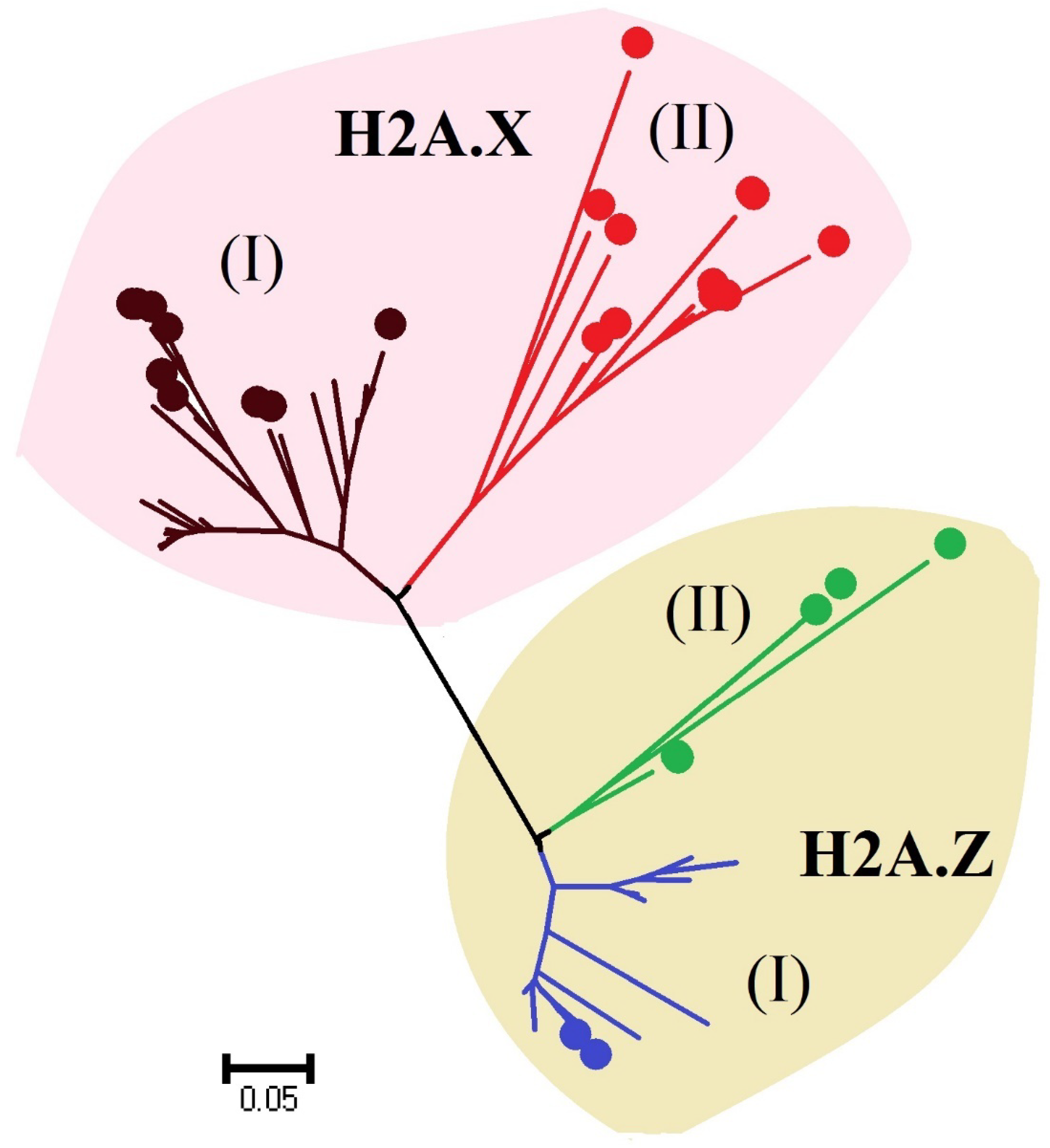Microorganisms 06 00128 g002