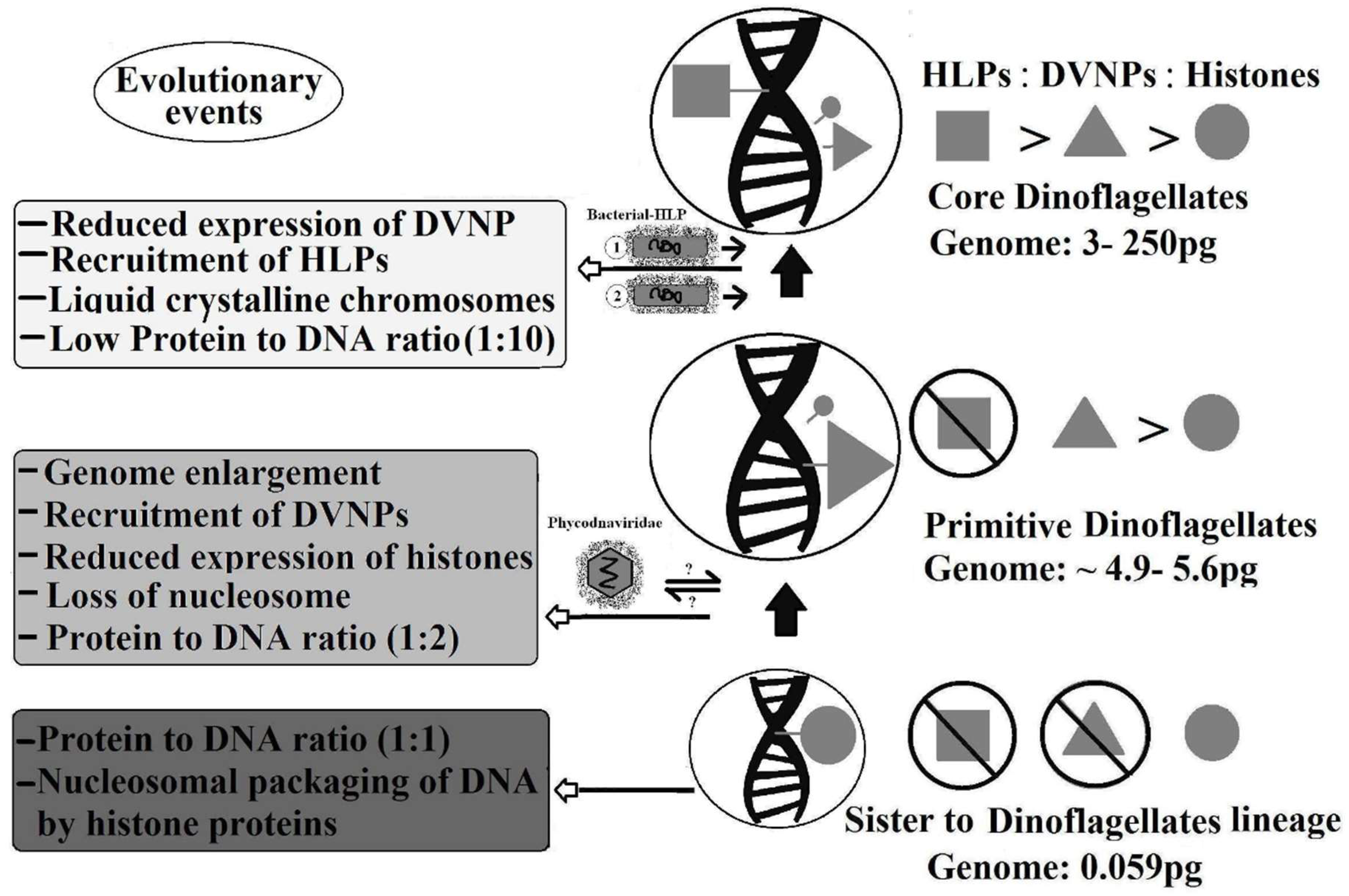 Microorganisms 06 00128 g004