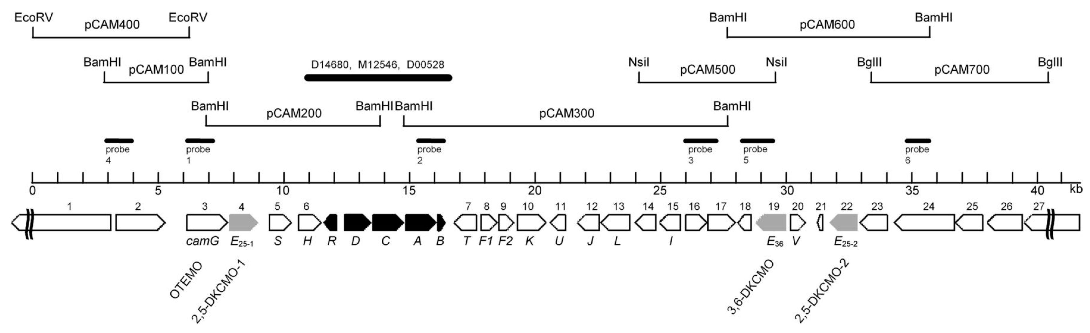 Microorganisms 07 00001 g002