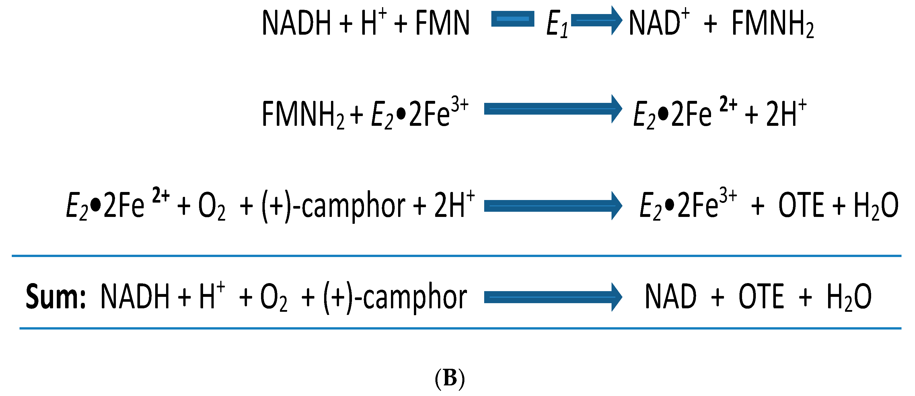 Microorganisms 07 00001 g003b