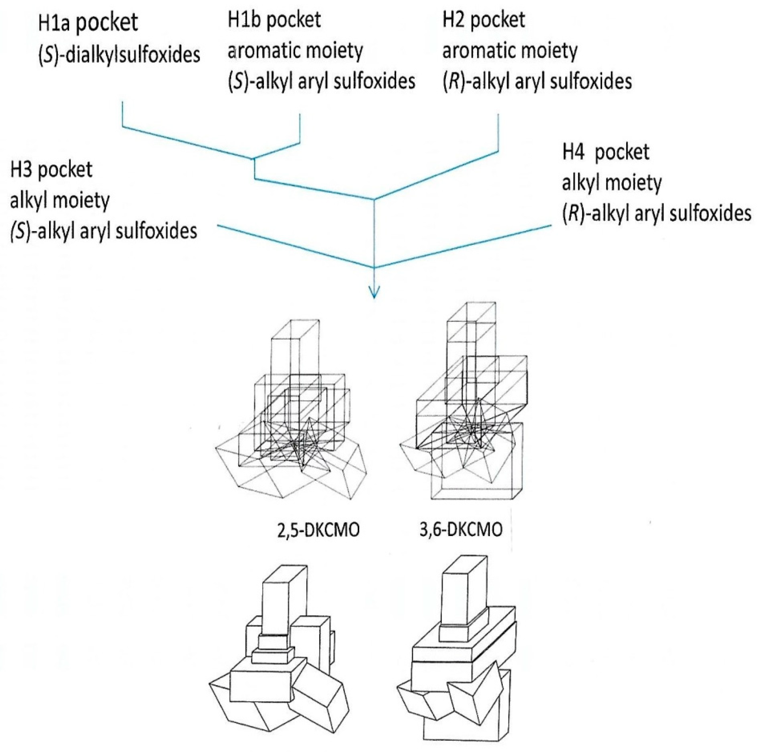 Microorganisms 07 00001 g010