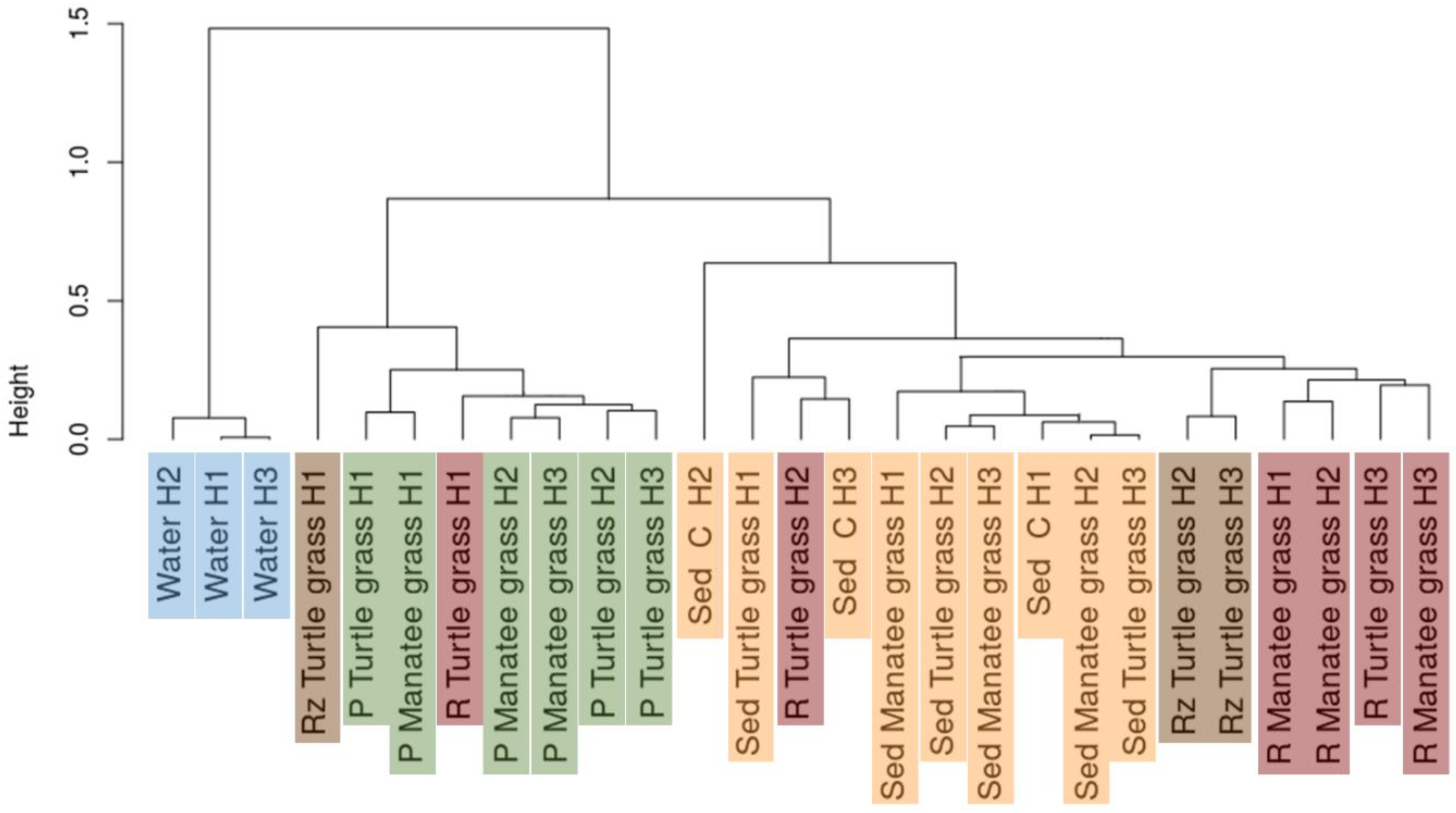 Microorganisms 07 00004 g002 Microorganisms 07 00004 g002