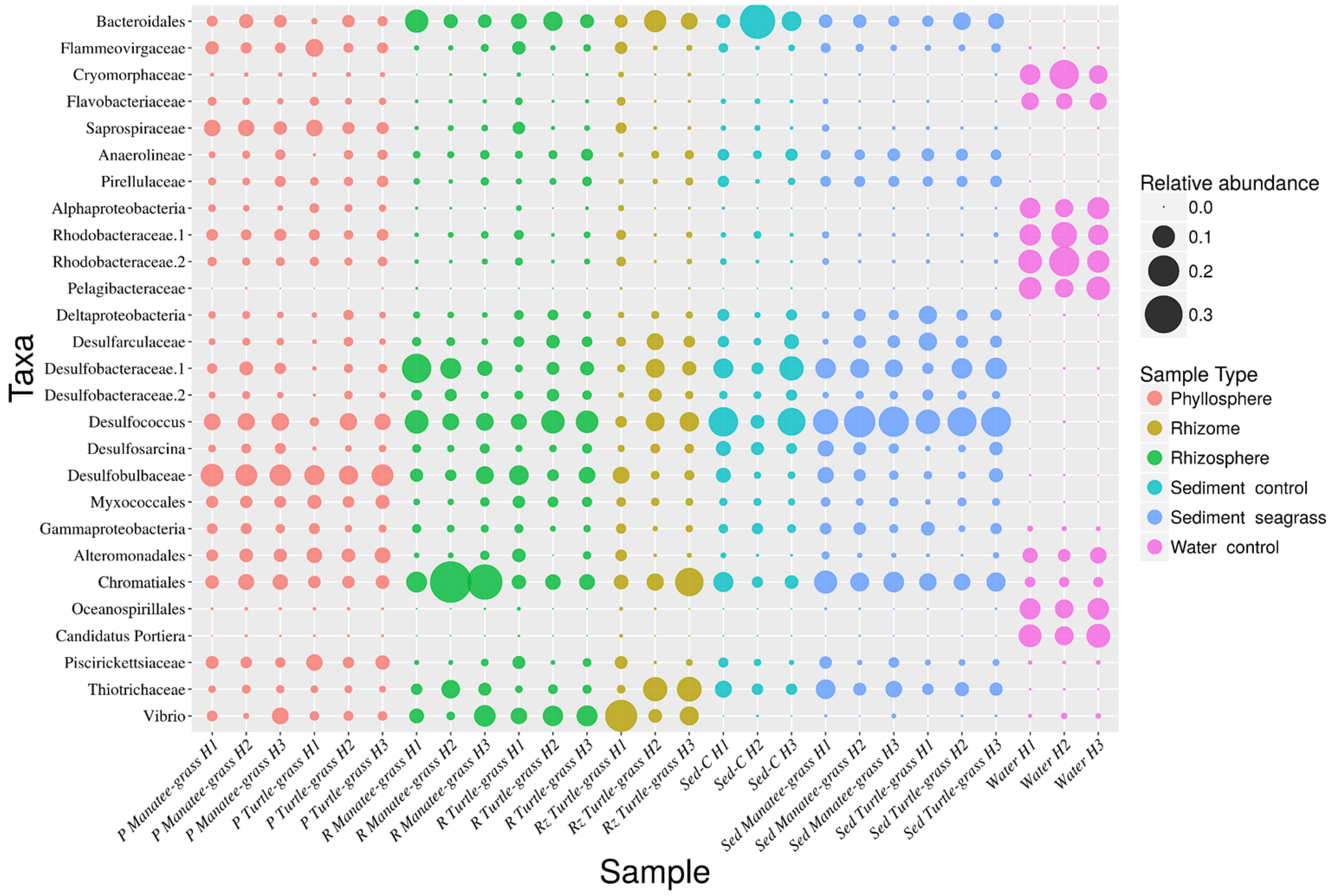 Microorganisms 07 00004 g005 Microorganisms 07 00004 g005