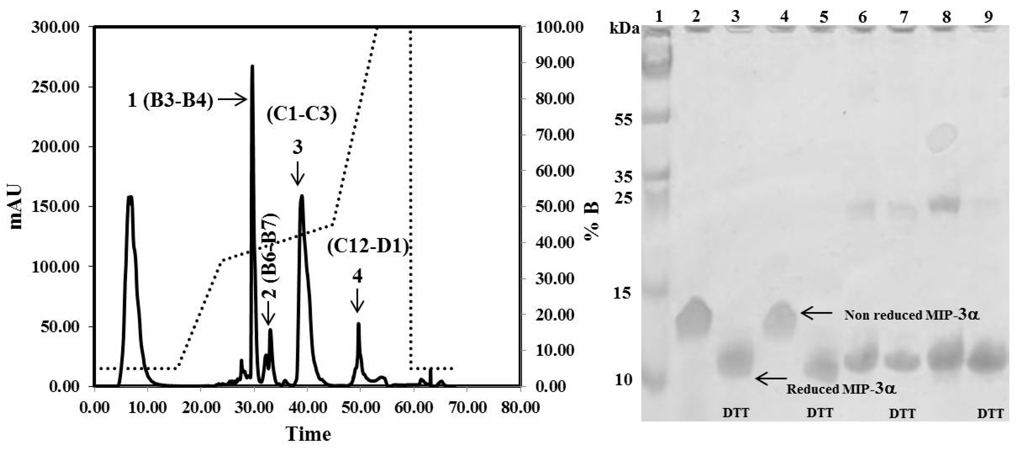 Microorganisms 07 00008 g004 Microorganisms 07 00008 g004