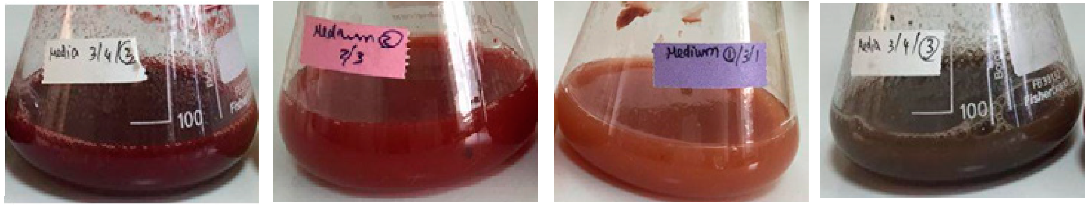 Microorganisms 07 00010 g006