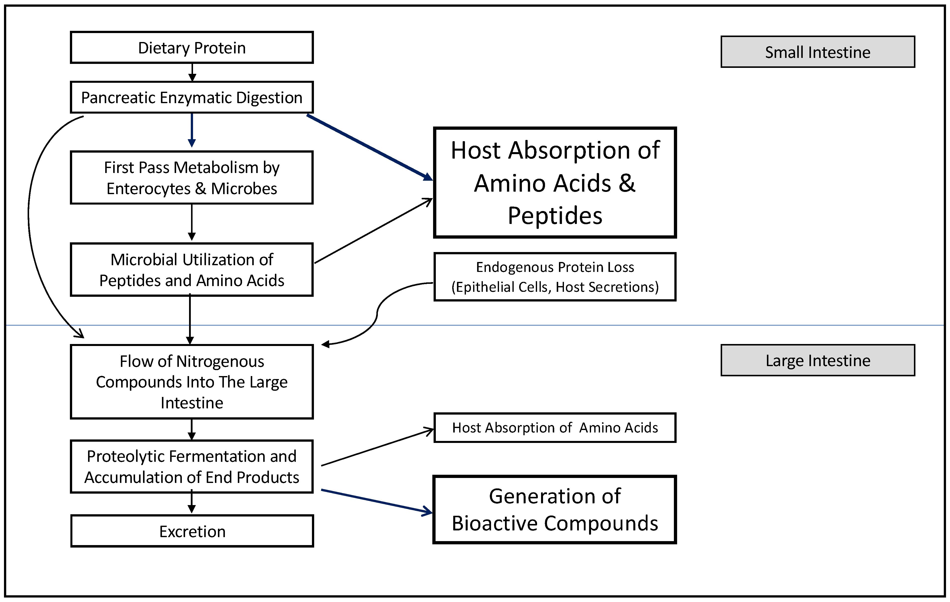 Microorganisms 07 00019 g001