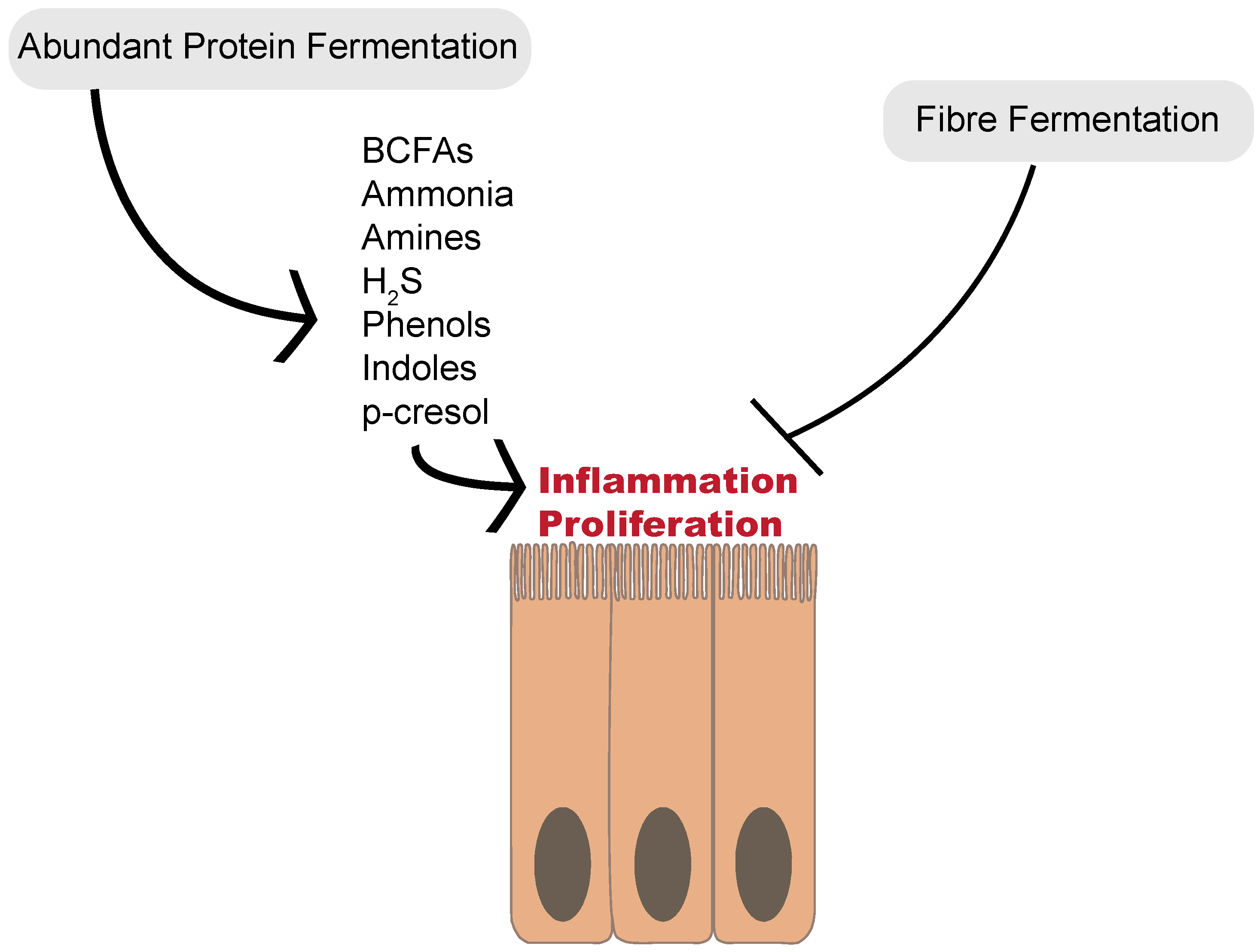 disease not caused by microbial protein toxin