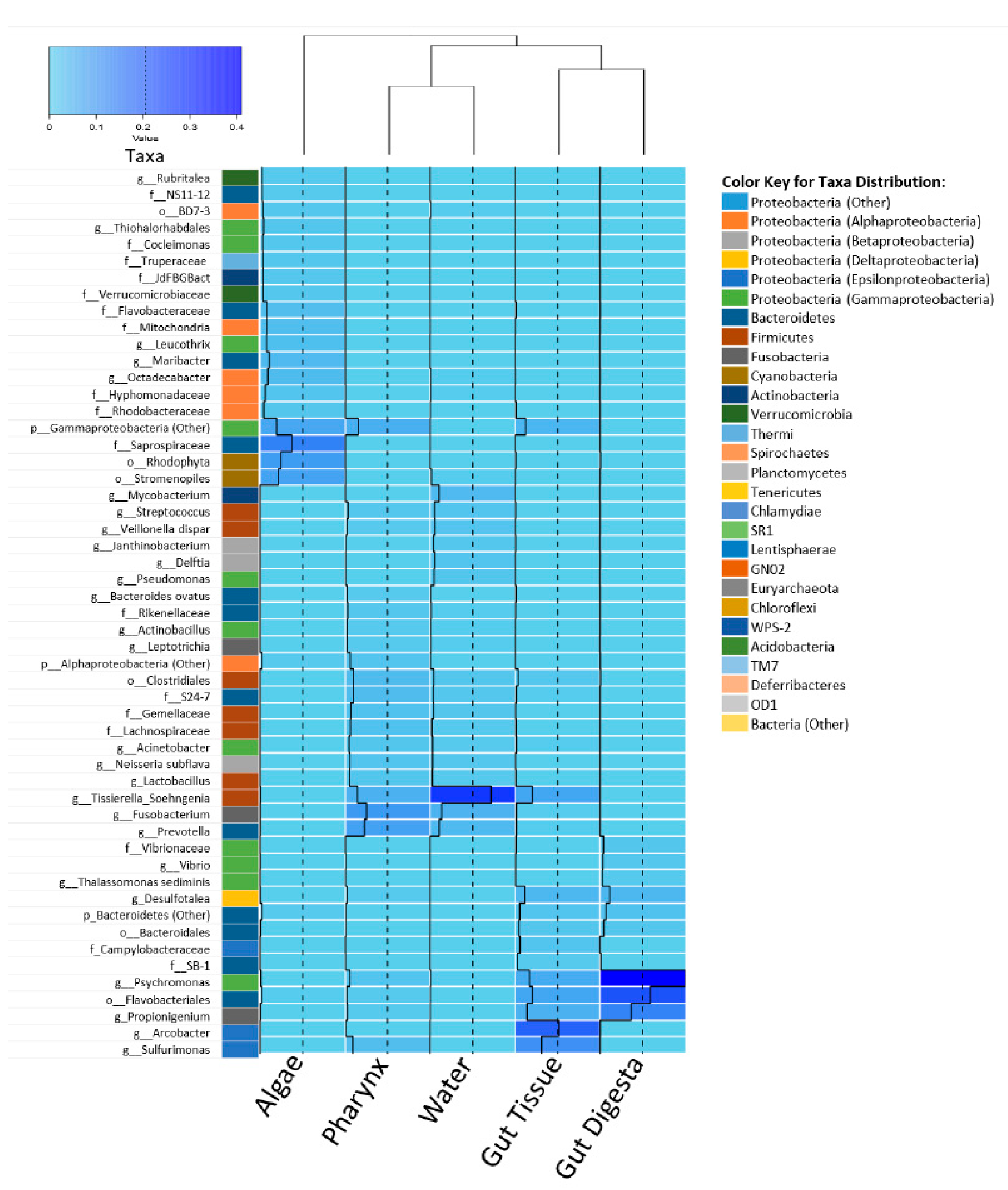 Microorganisms 07 00035 g006