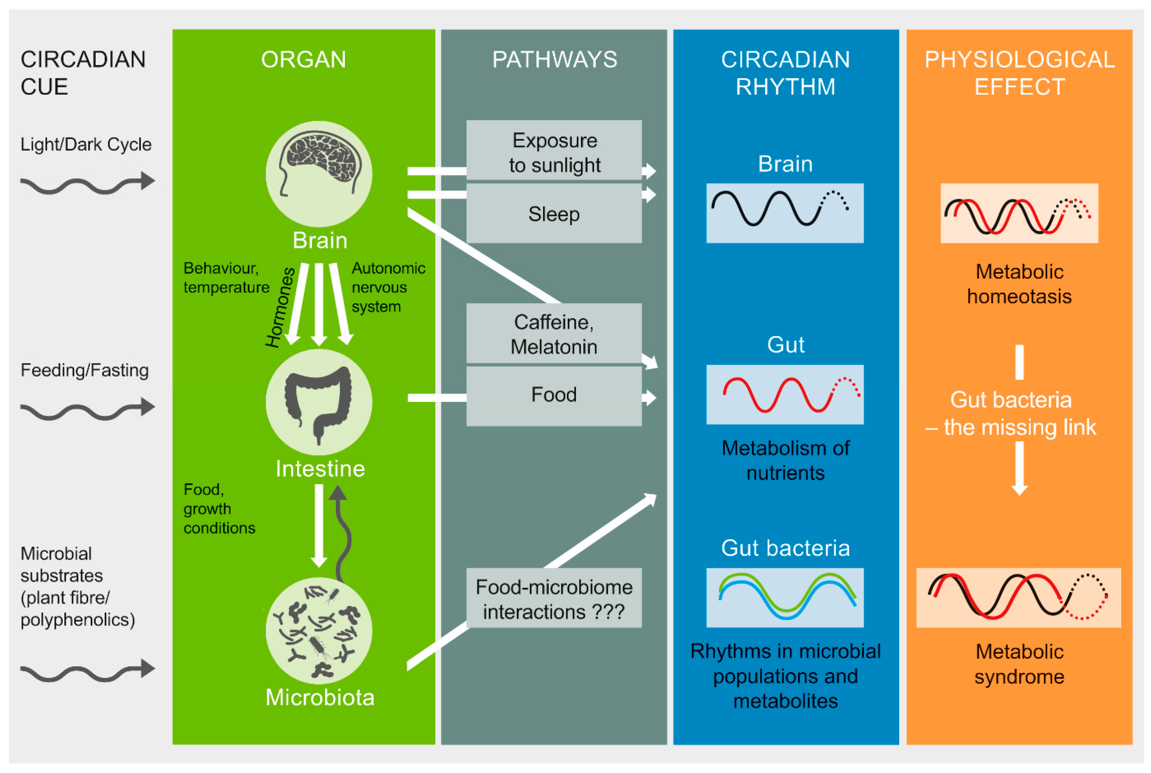 Microorganisms 07 00041 g001