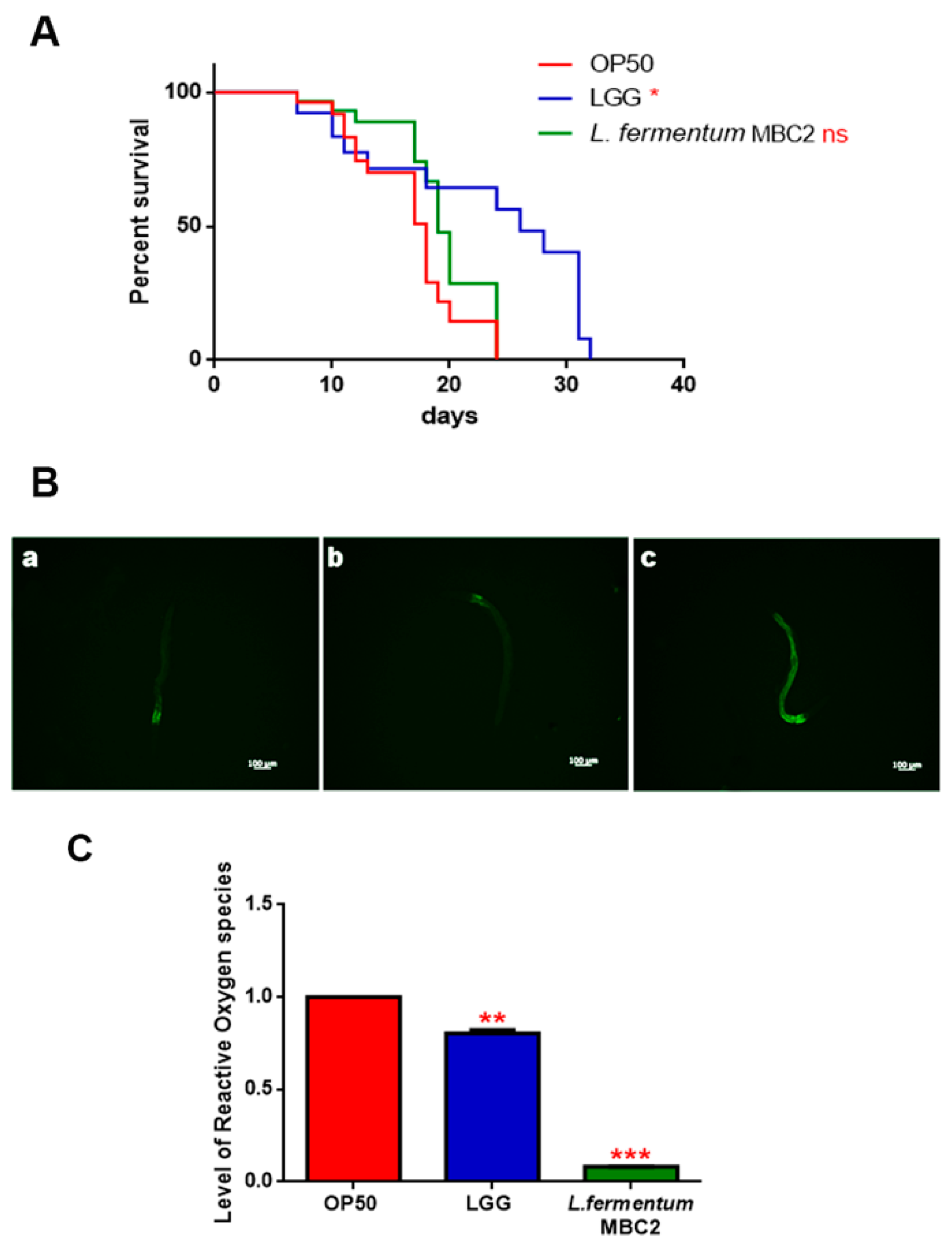 Microorganisms 07 00045 g005