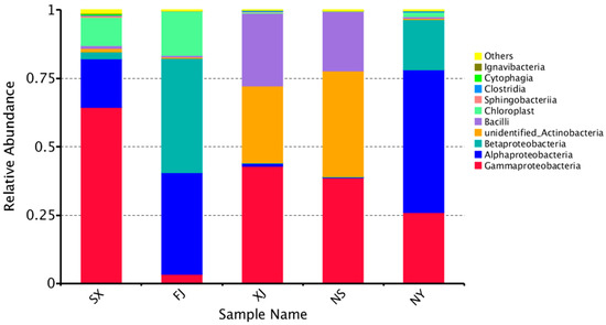 Root-Associated Endophytic Bacterial Community Composition Root-Associated Endophytic Bacterial Community Composition