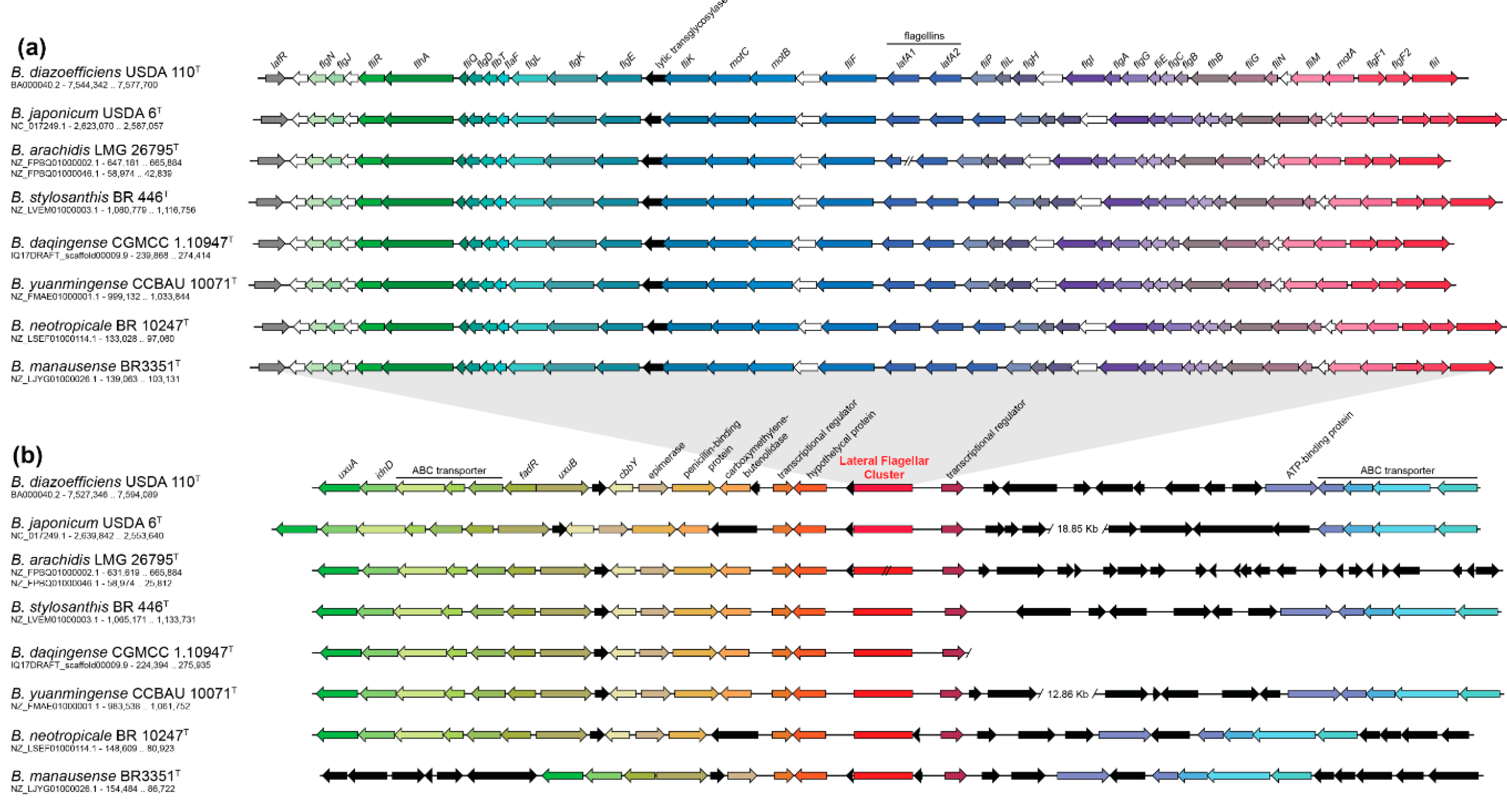 Microorganisms 07 00050 g002 Microorganisms 07 00050 g002
