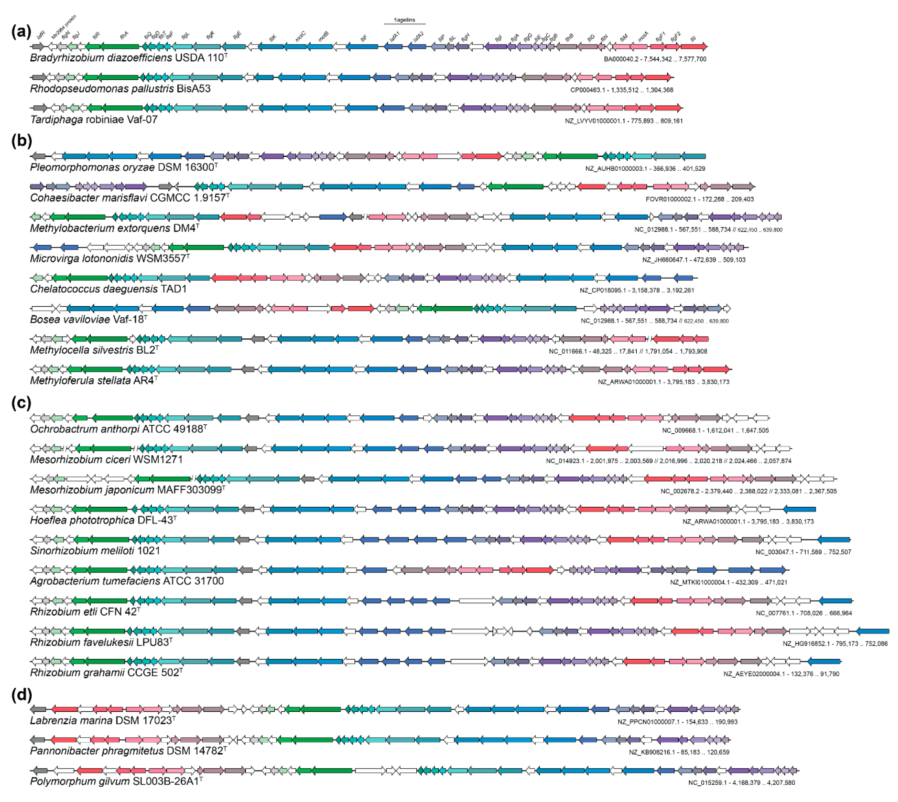 Microorganisms 07 00050 g003 Microorganisms 07 00050 g003