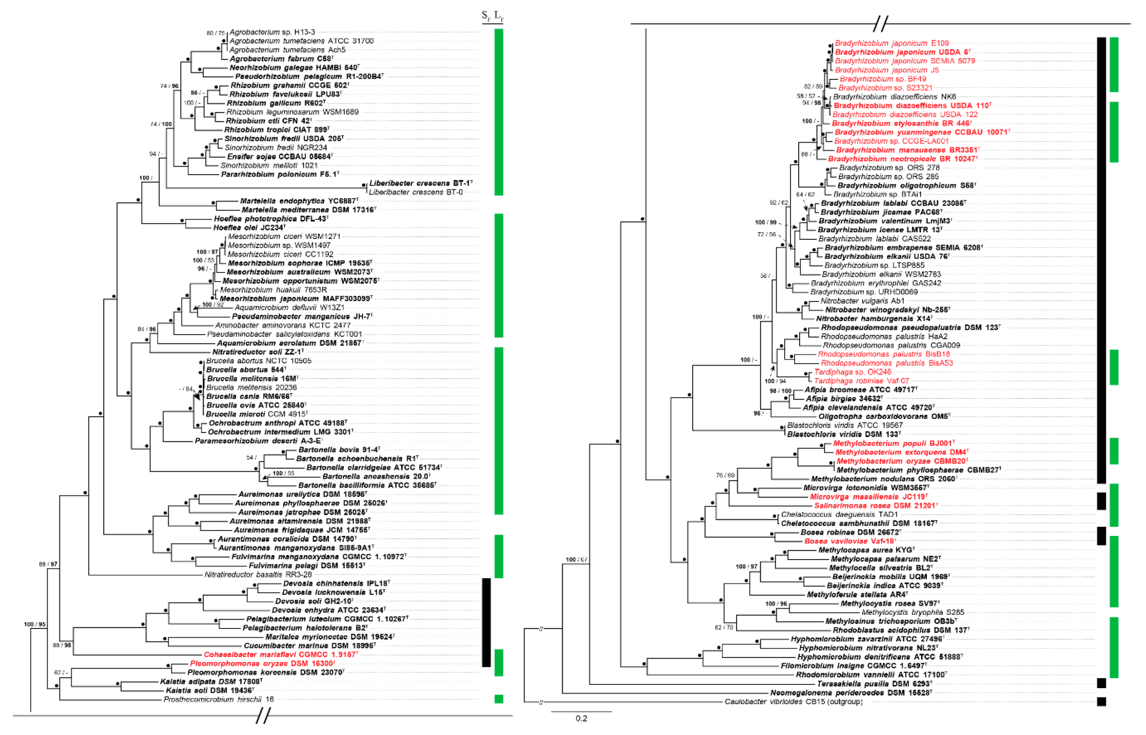 Microorganisms 07 00050 g004 Microorganisms 07 00050 g004