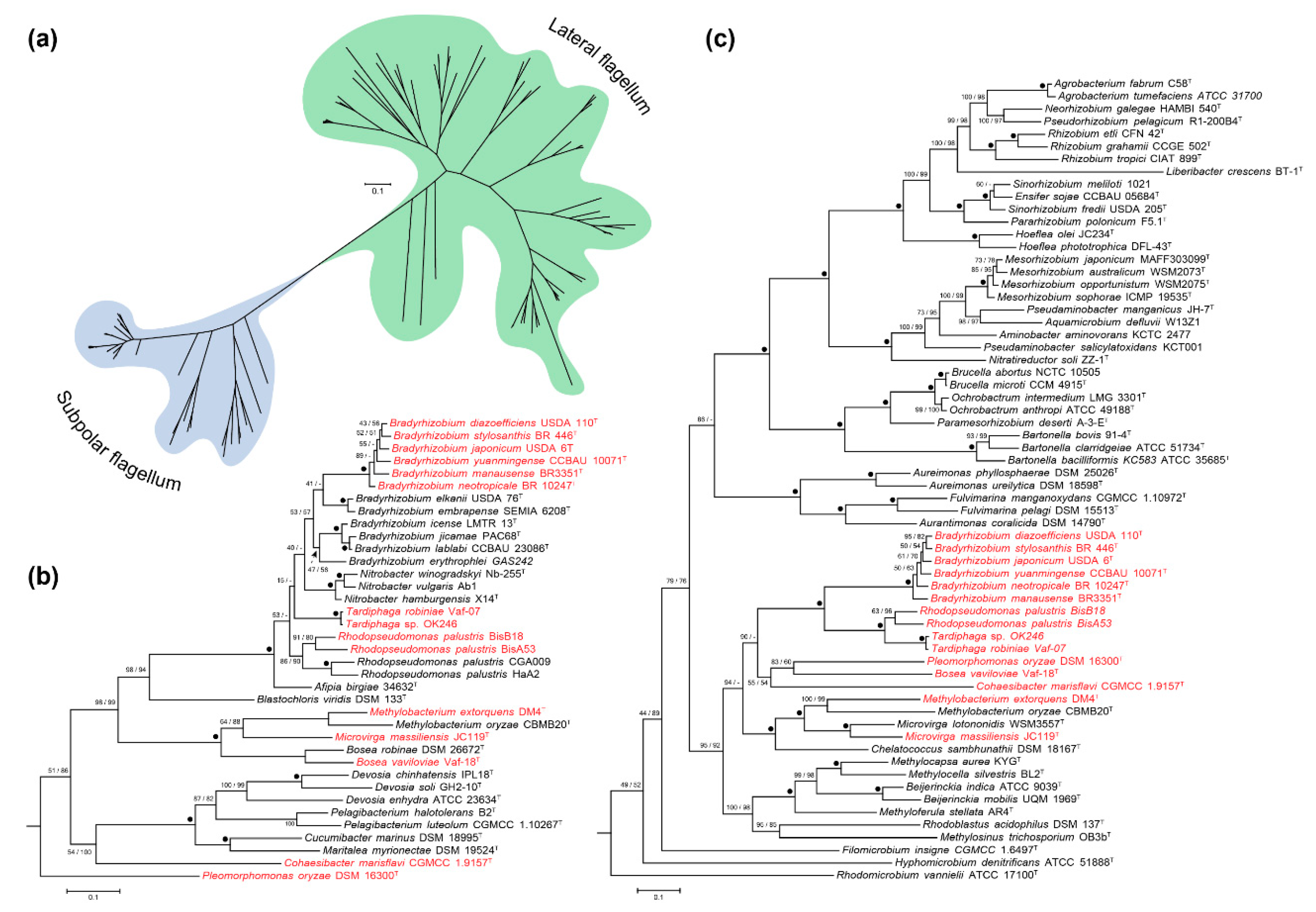 Microorganisms 07 00050 g005 Microorganisms 07 00050 g005