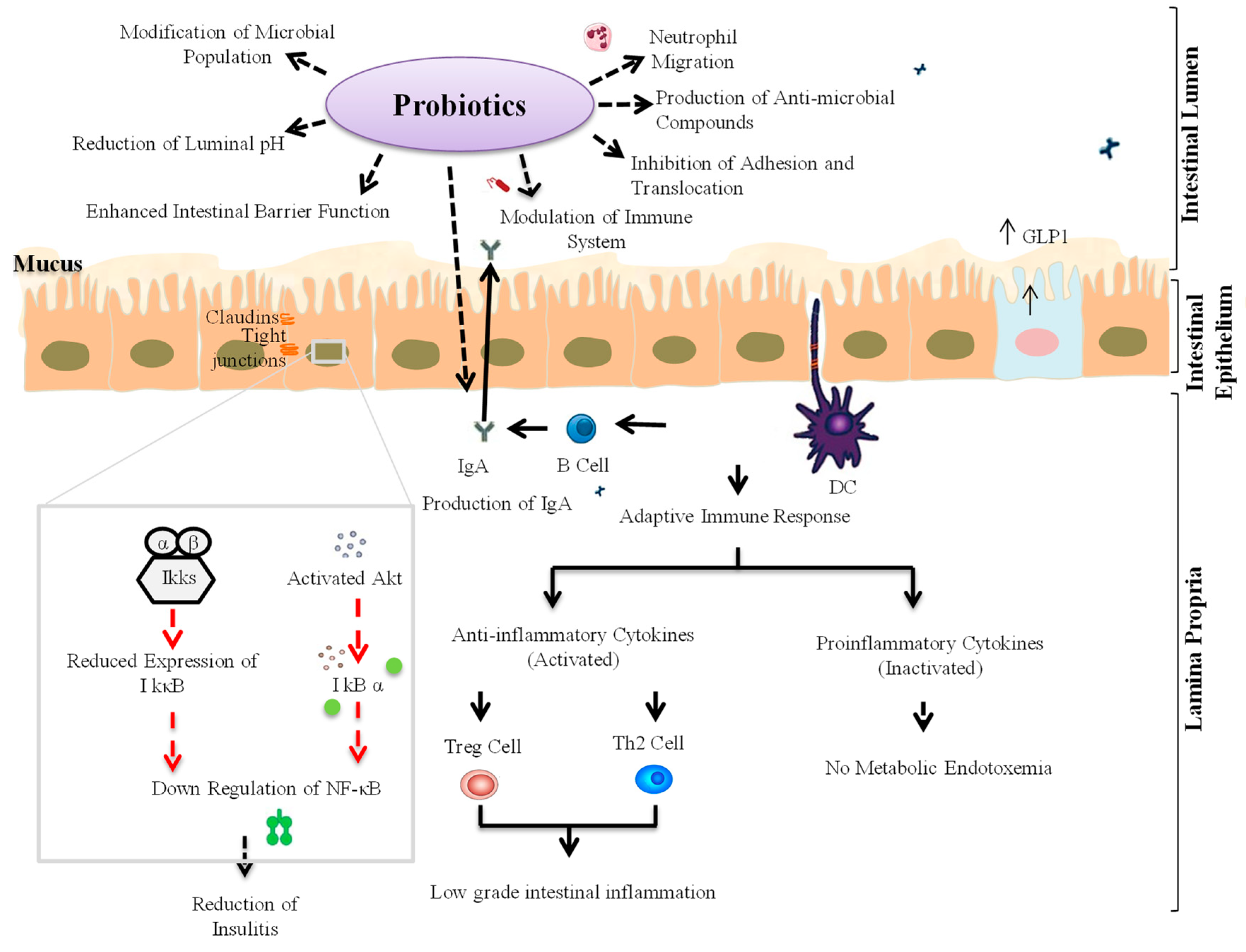 Microorganisms 07 00067 g003