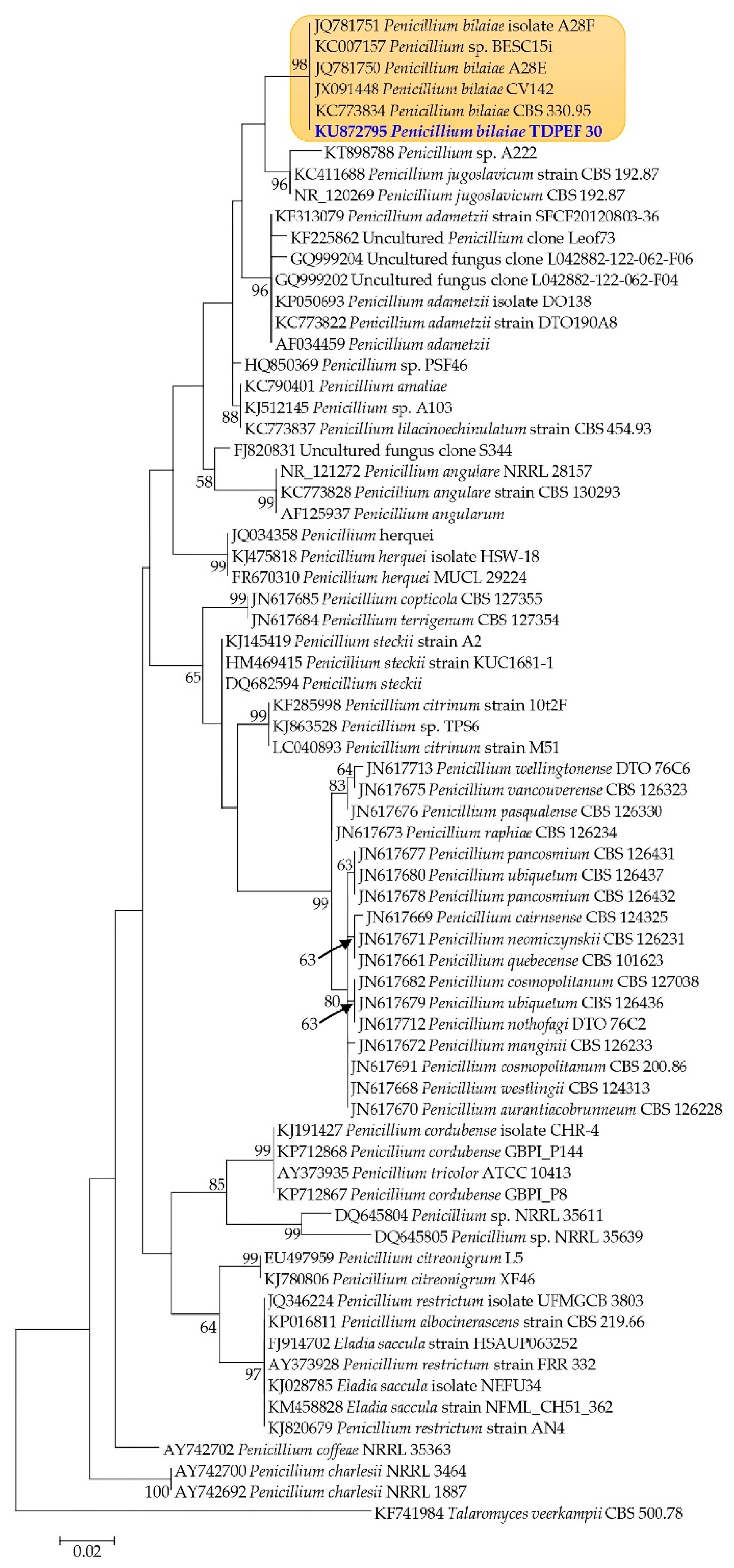 Microorganisms 07 00074 g001